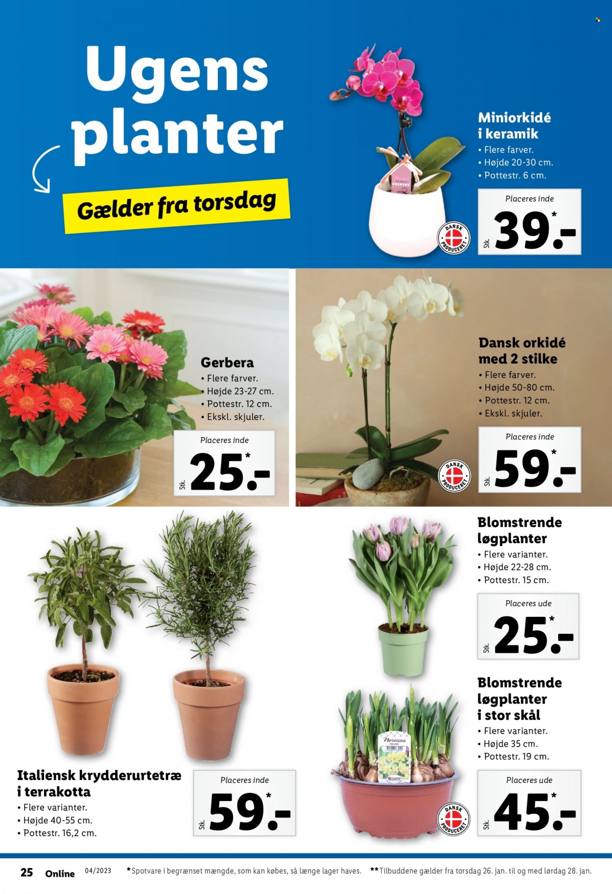 Lidl tilbud - 22.1.2023 - 28.1.2023. Side 30
