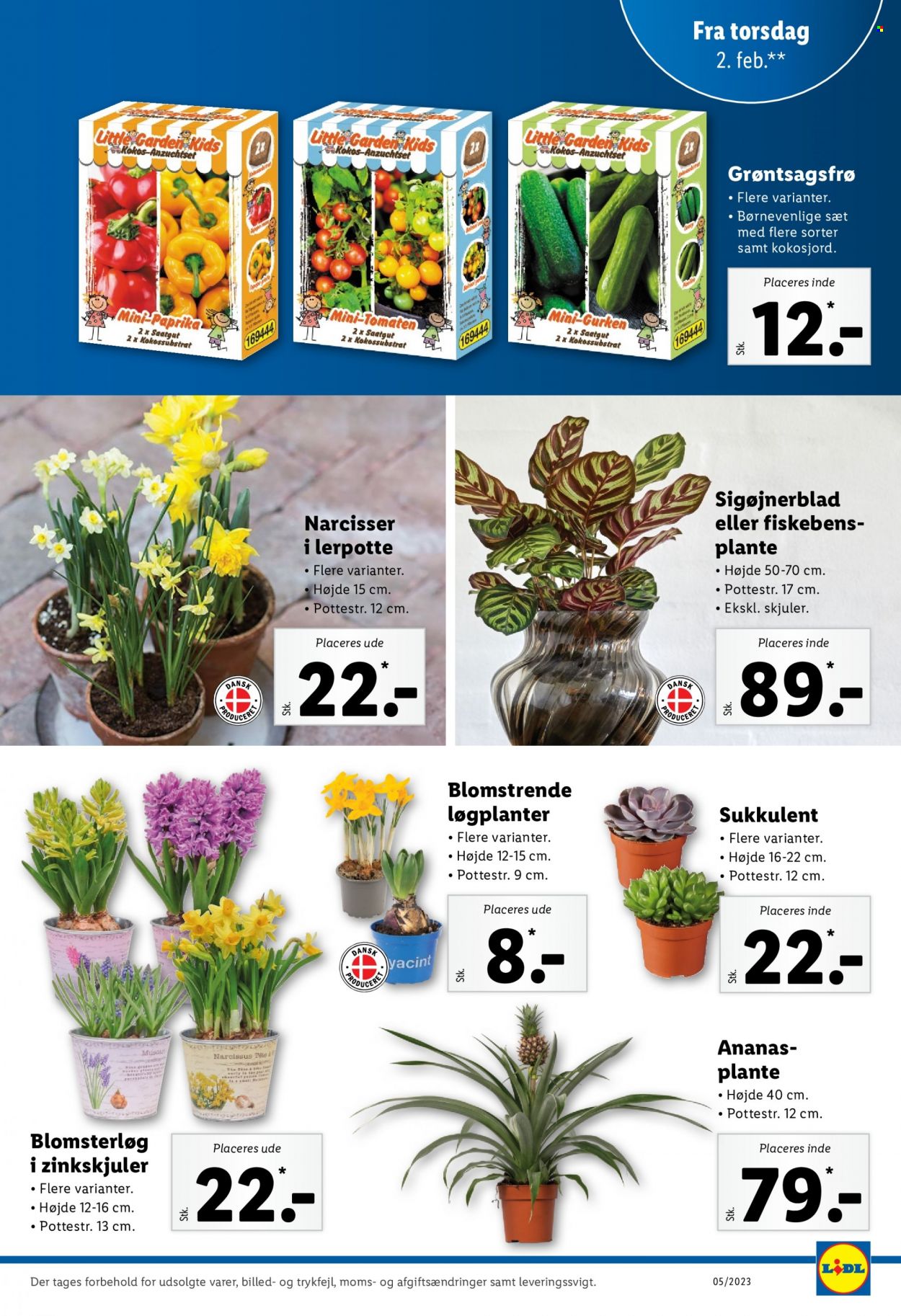 Lidl tilbud - 29.1.2023 - 4.2.2023. Side 29