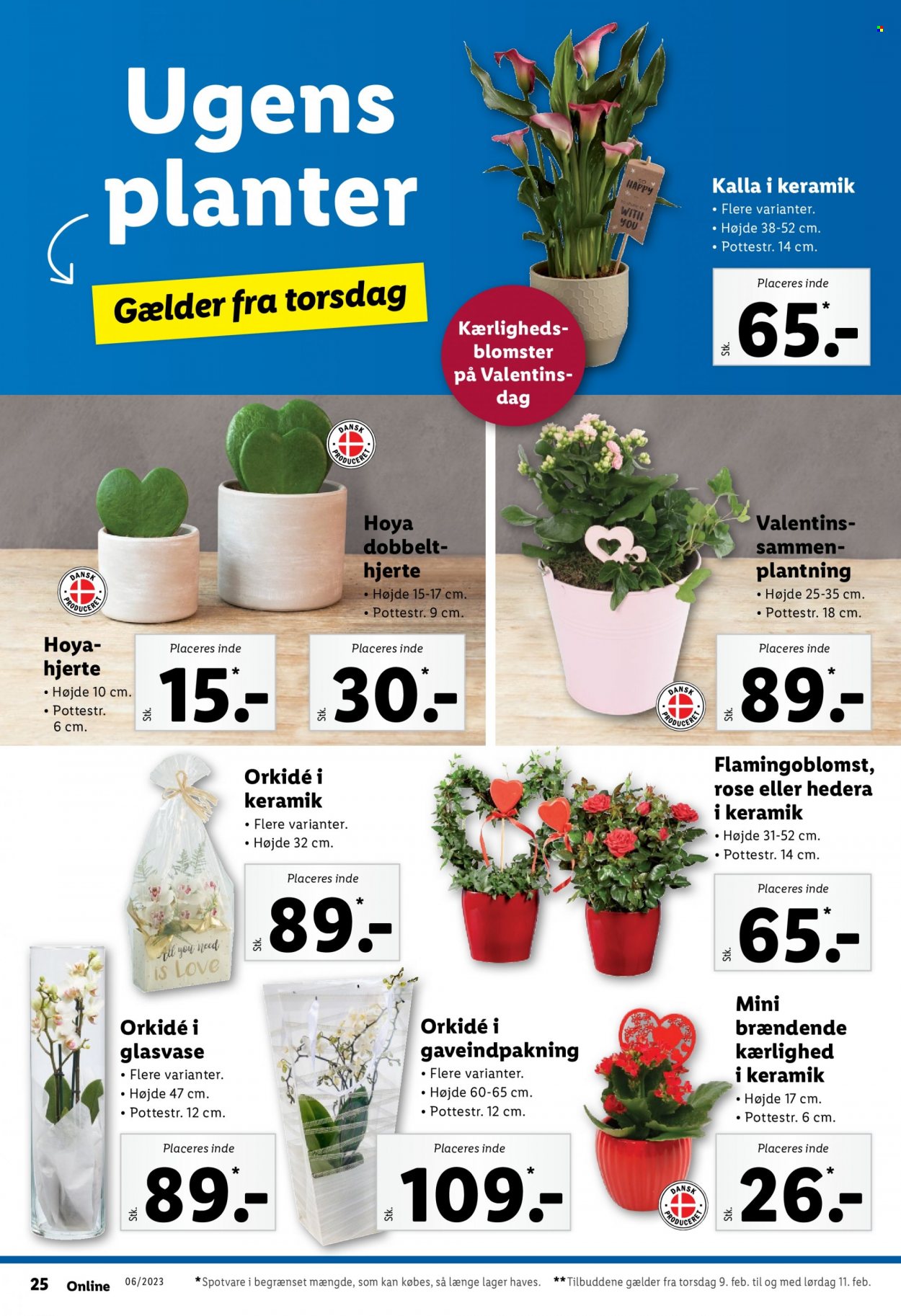 Lidl tilbud - 5.2.2023 - 11.2.2023. Side 28