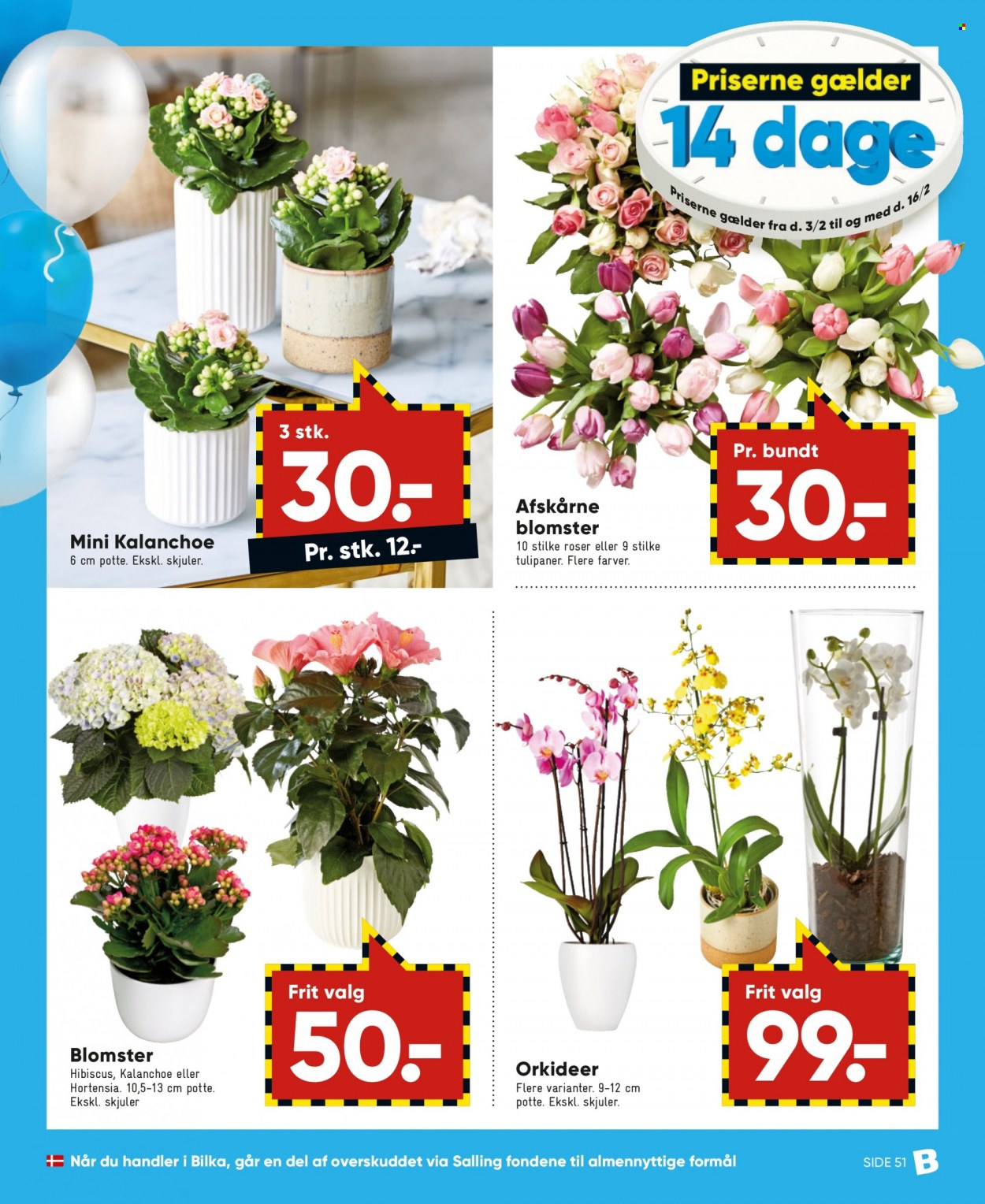 thumbnail - Bilka tilbud  - 3.2.2023 - 16.2.2023 - tilbudsprodukter - hortensia, kalanchoë, roser, tulipaner. Side 25.