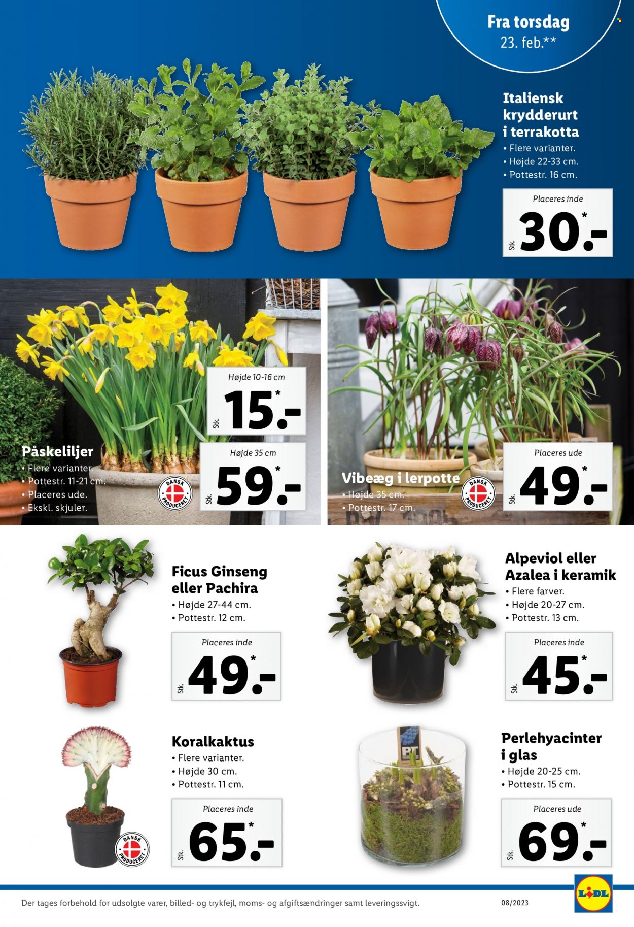Lidl tilbud - 19.2.2023 - 25.2.2023. Side 31
