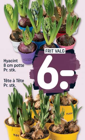 Rema 1000 tilbudsavis