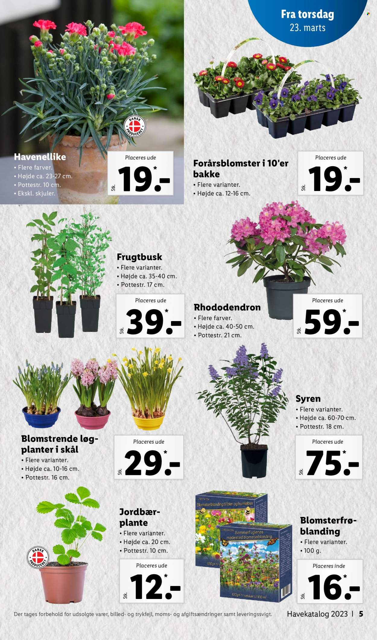 Lidl tilbud. Side 5