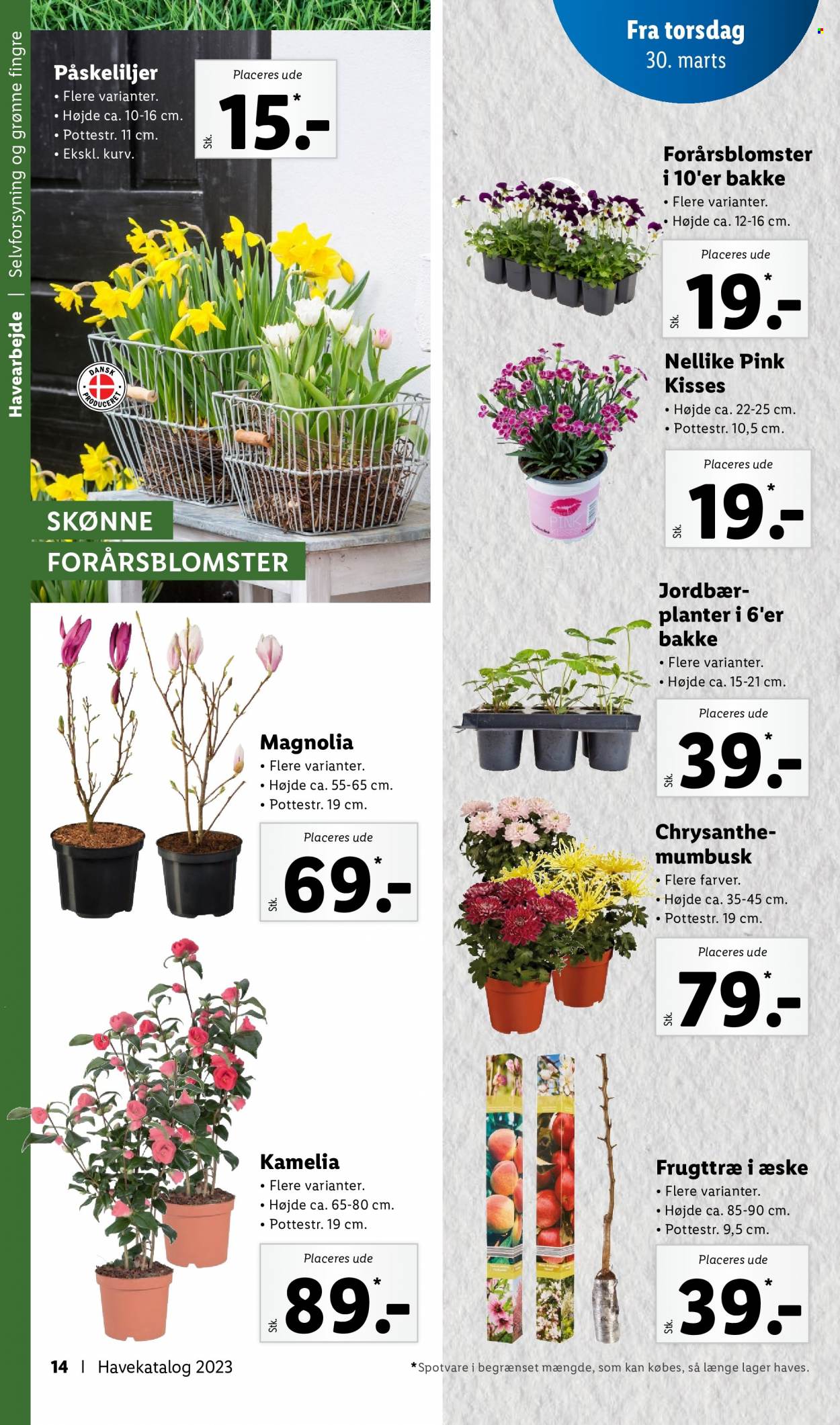 Lidl tilbud. Side 14