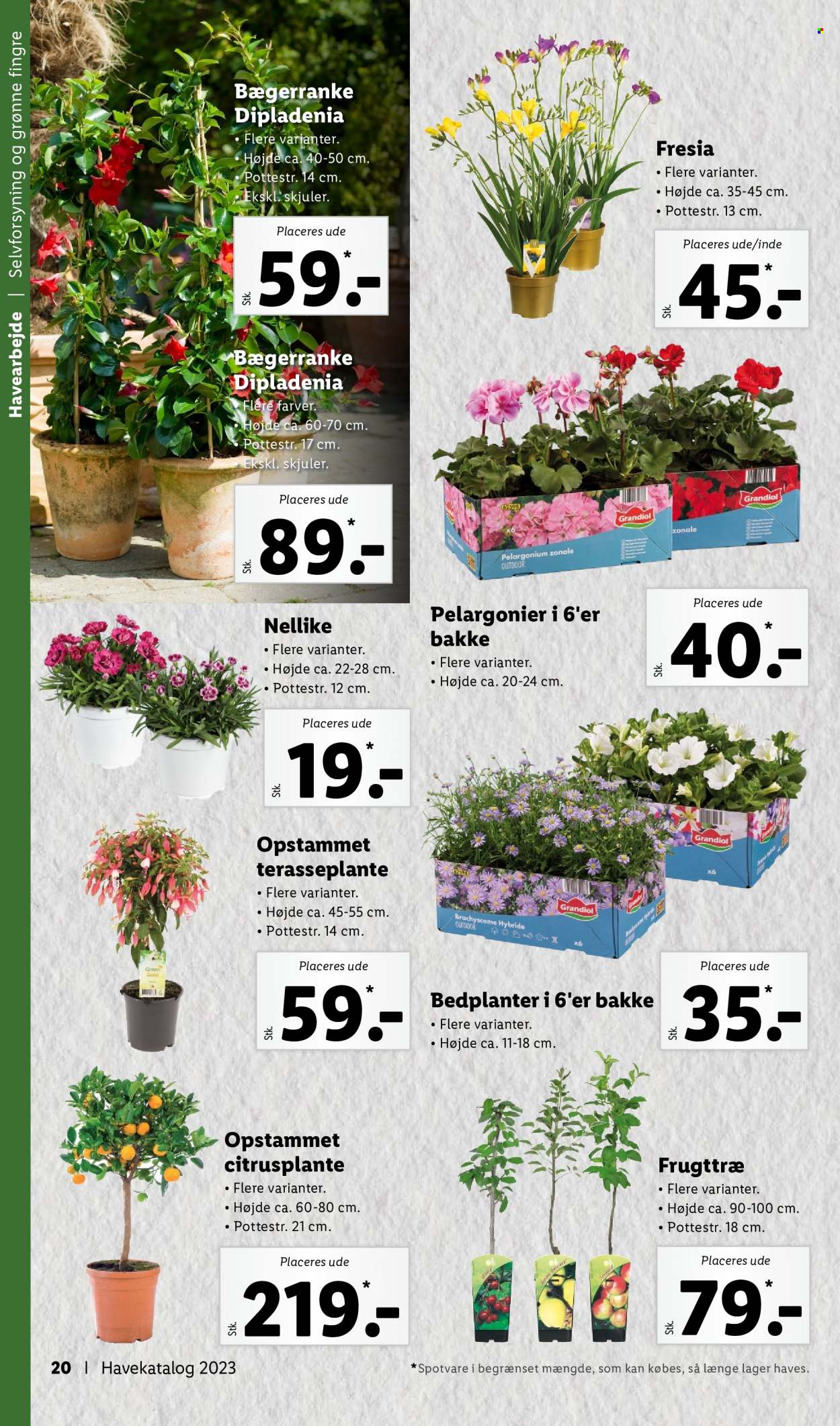 Lidl tilbud. Side 20