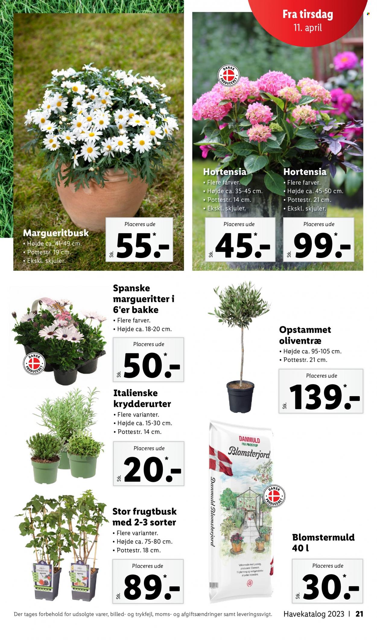 Lidl tilbud. Side 21