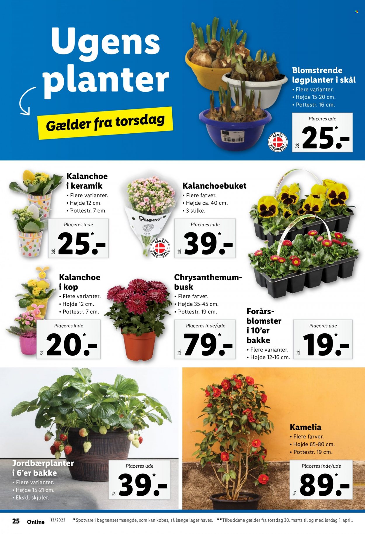 Lidl tilbud - 26.3.2023 - 1.4.2023. Side 30