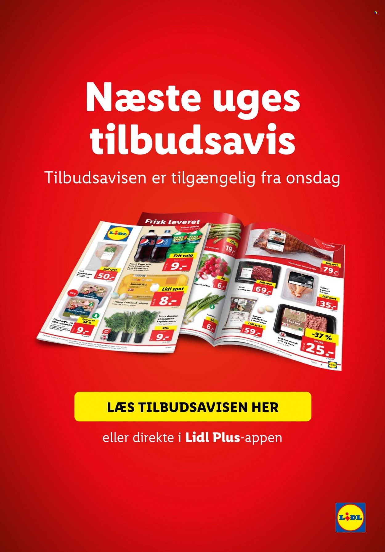 Lidl tilbud - 26.3.2023 - 1.4.2023. Side 43
