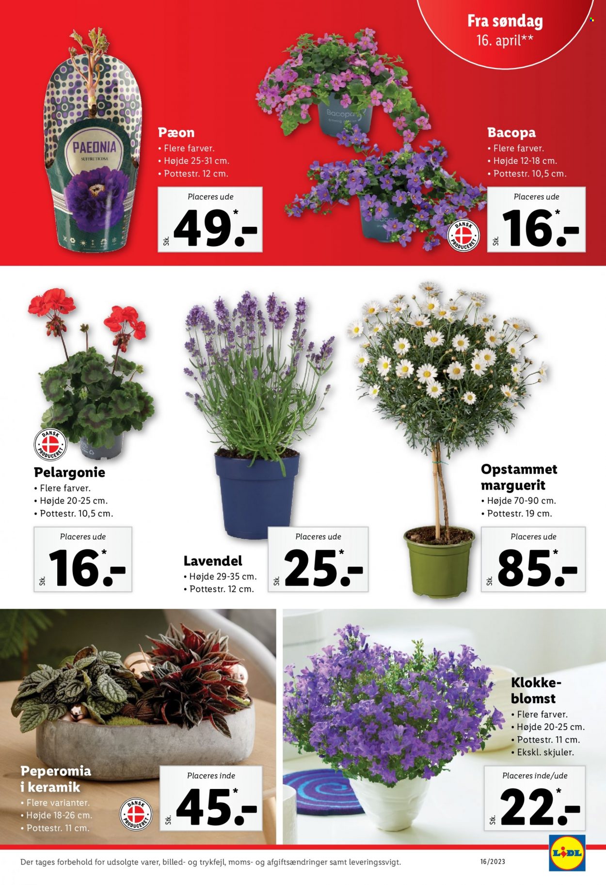 Lidl tilbud - 16.4.2023 - 22.4.2023. Side 21