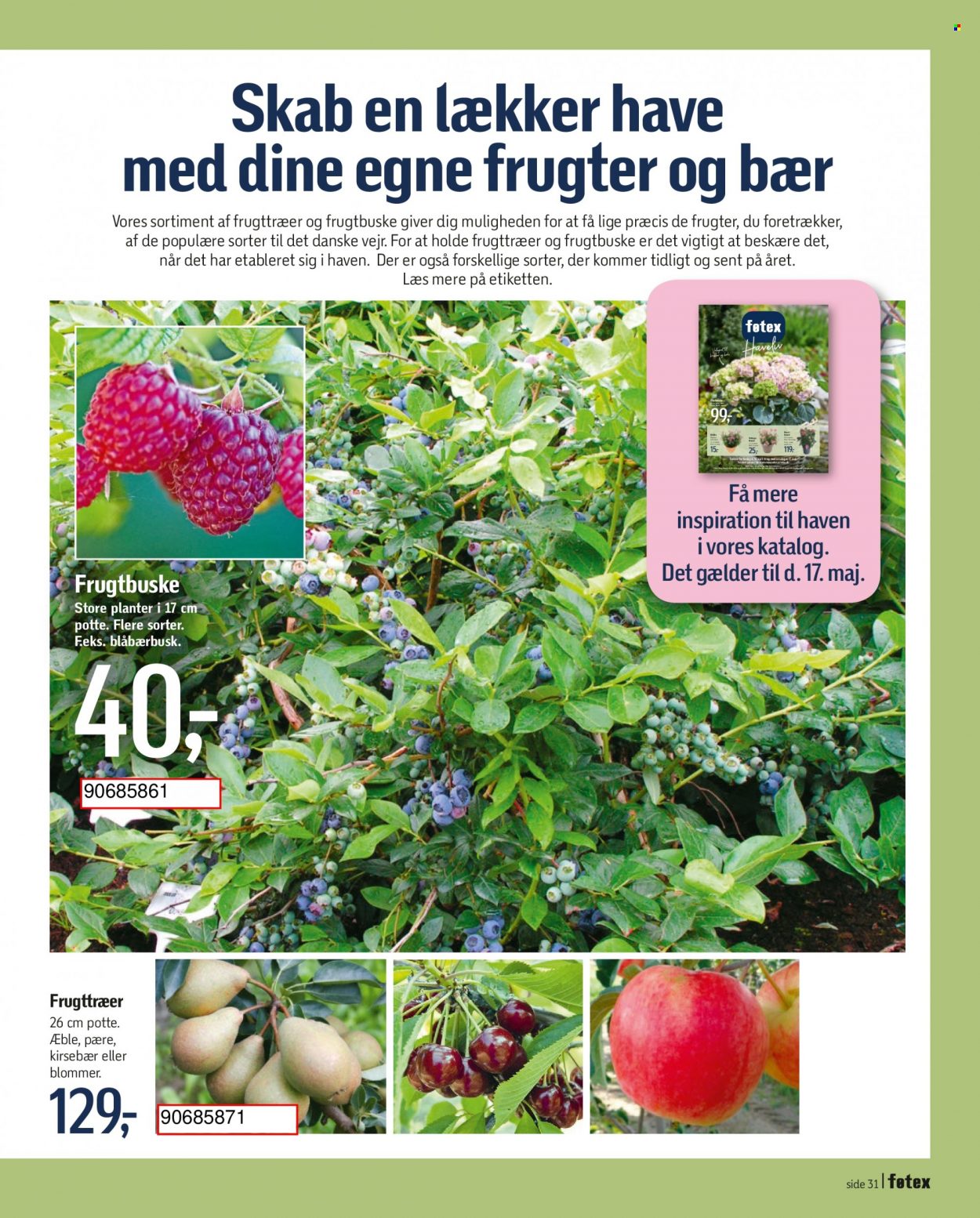 føtex tilbud - 14.4.2023 - 17.5.2023. Side 11