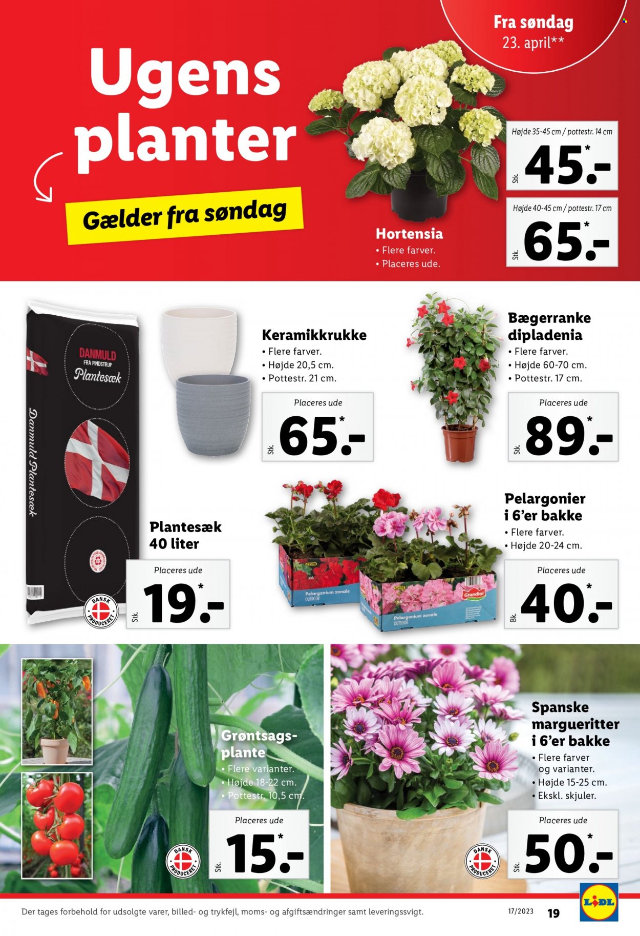 Lidl tilbud - 23.4.2023 - 29.4.2023. Side 19