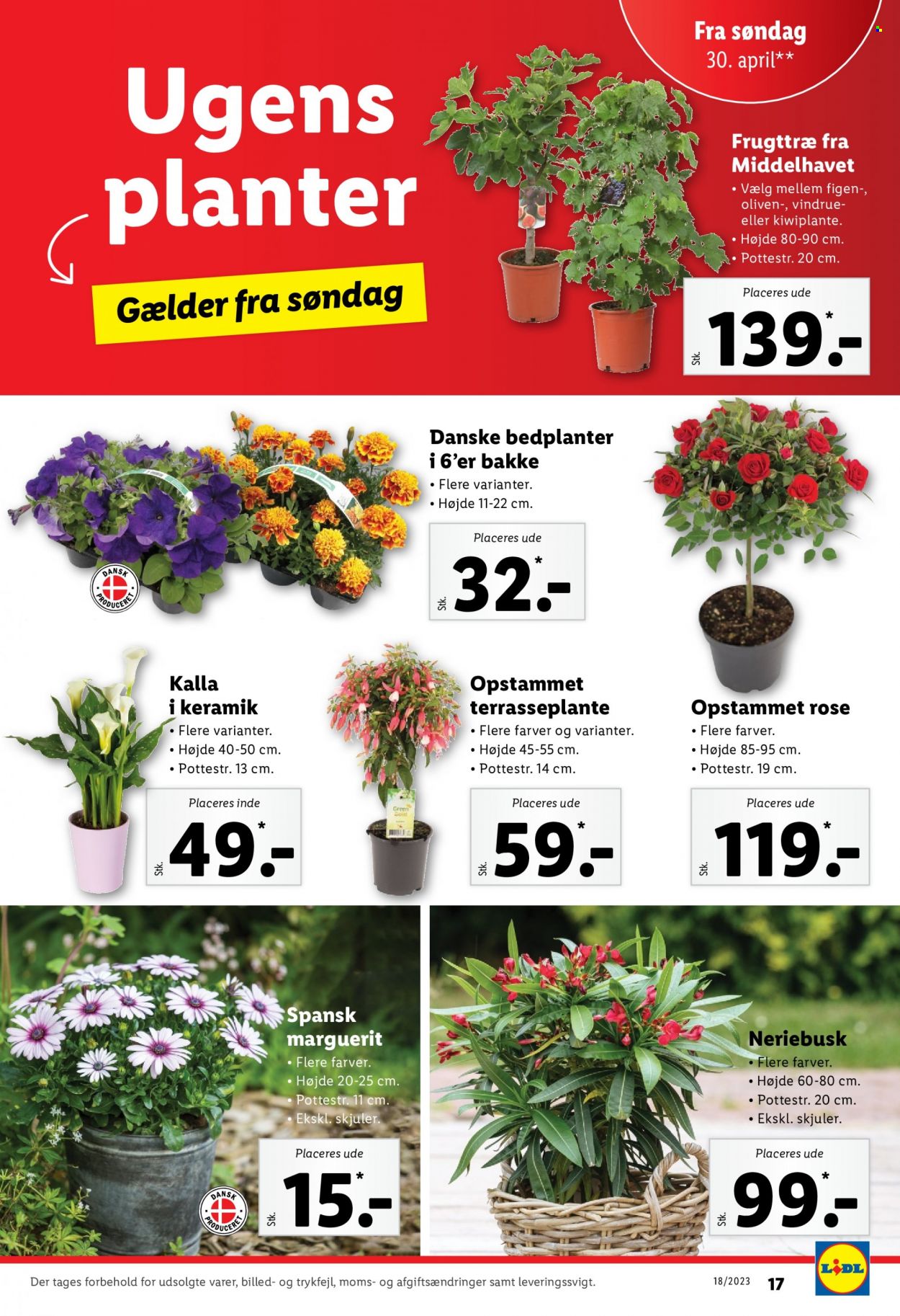 Lidl tilbud - 30.4.2023 - 6.5.2023. Side 17