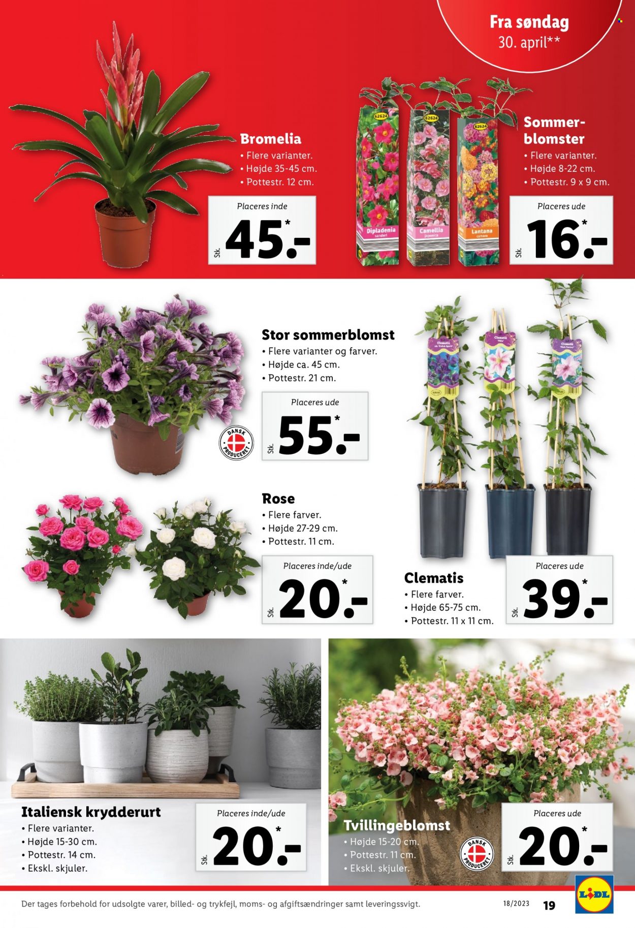 Lidl tilbud - 30.4.2023 - 6.5.2023. Side 19