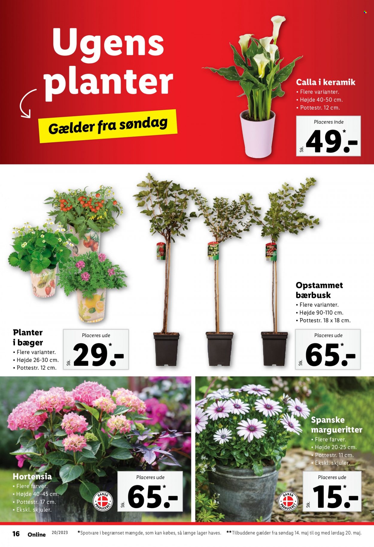 Lidl tilbud - 14.5.2023 - 20.5.2023. Side 16