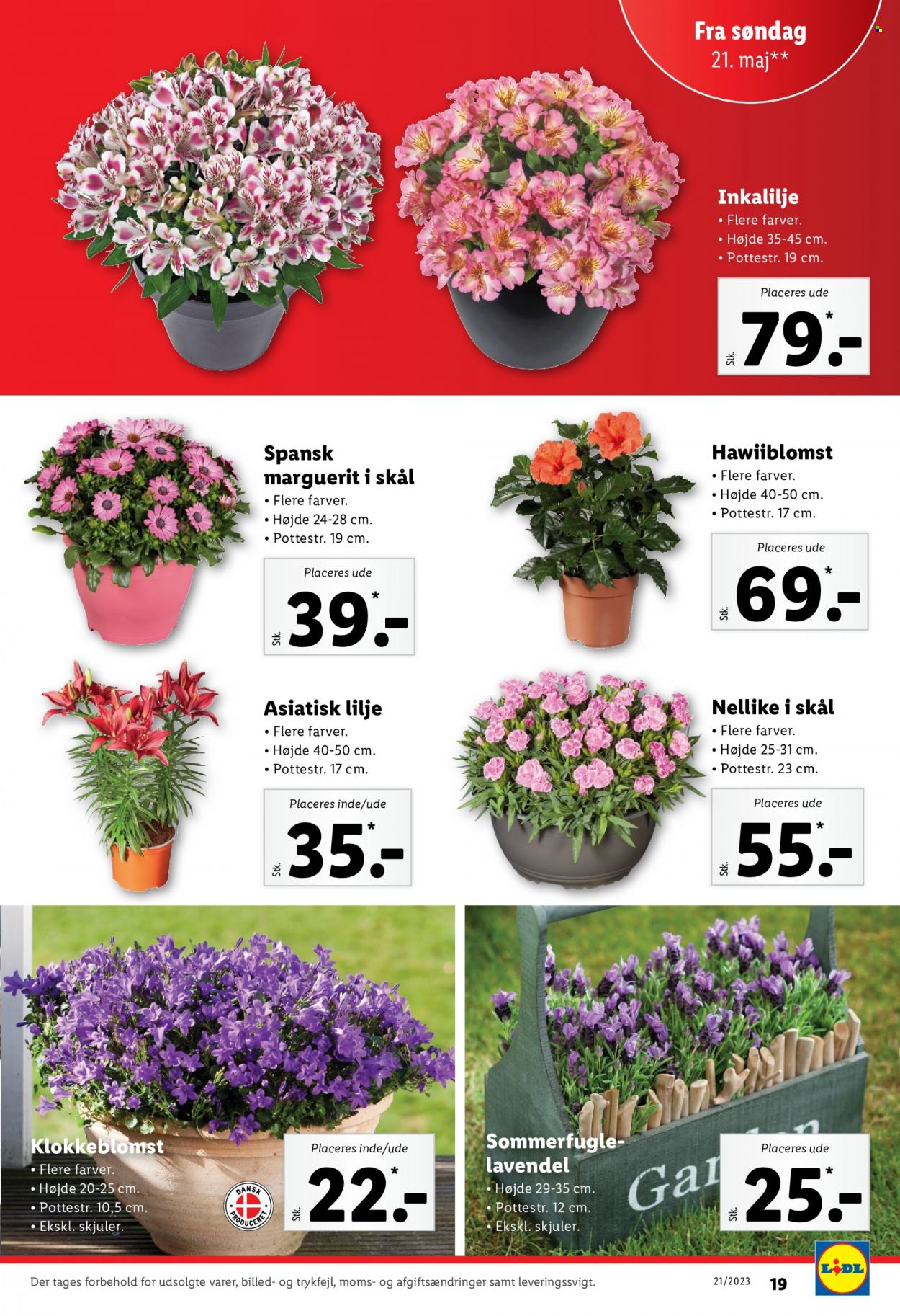 Lidl tilbud - 21.5.2023 - 29.5.2023. Side 19