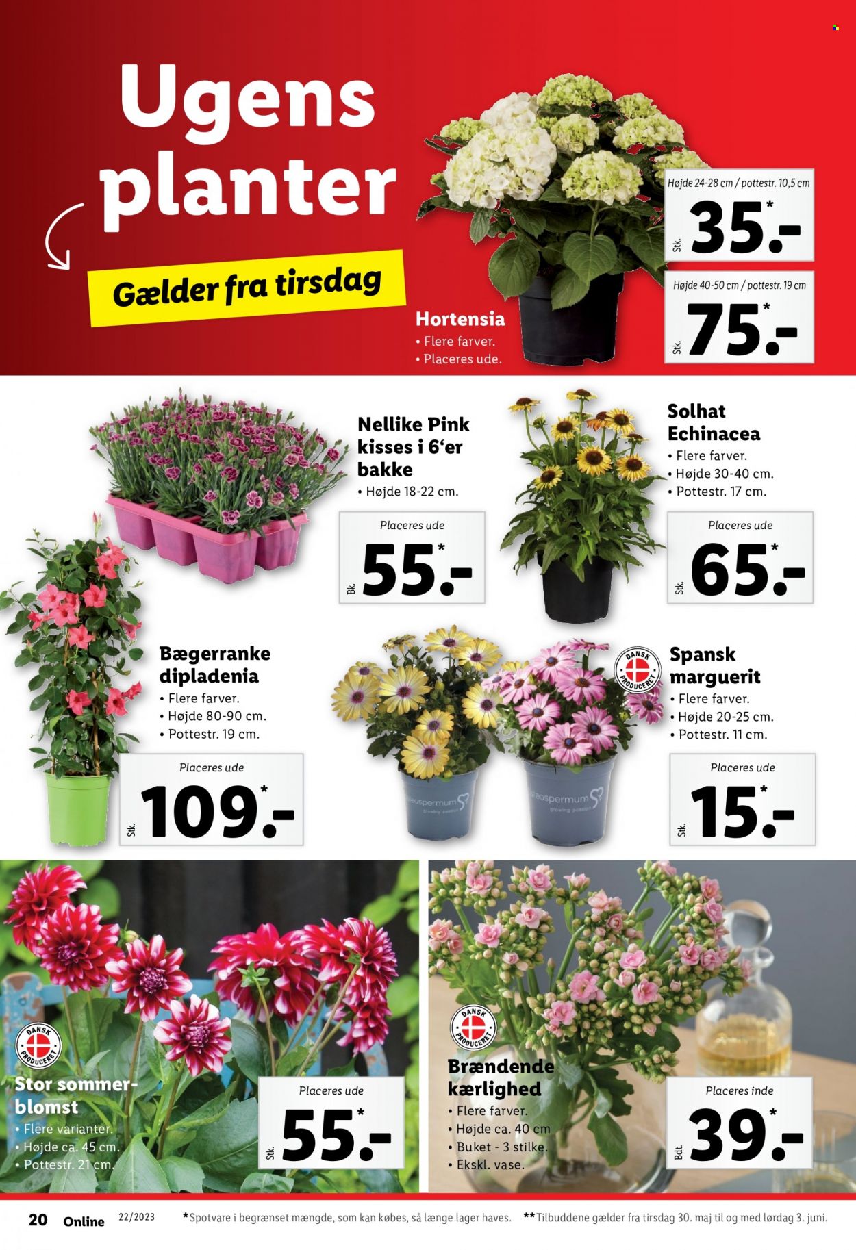 Lidl tilbud - 30.5.2023 - 3.6.2023. Side 20