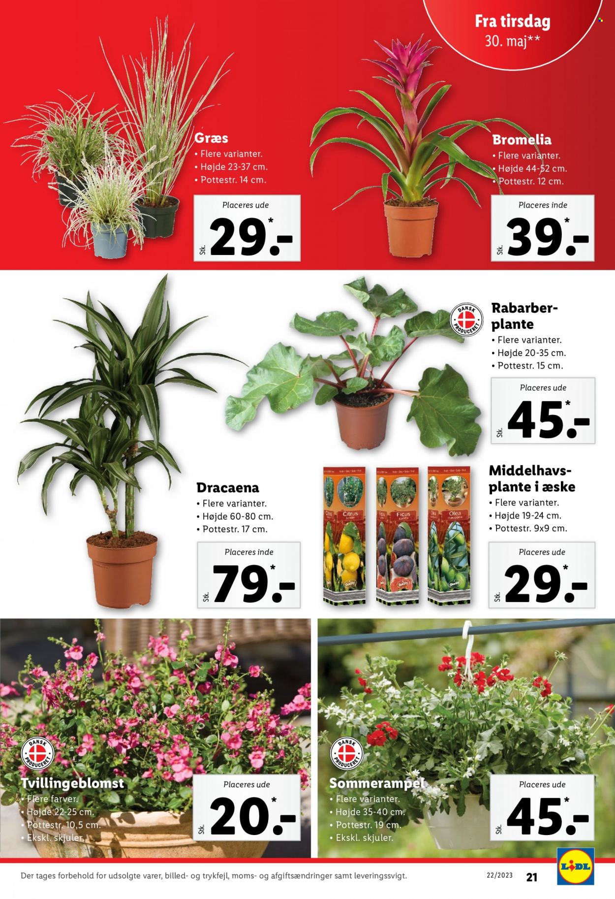 Lidl tilbud - 30.5.2023 - 3.6.2023. Side 21