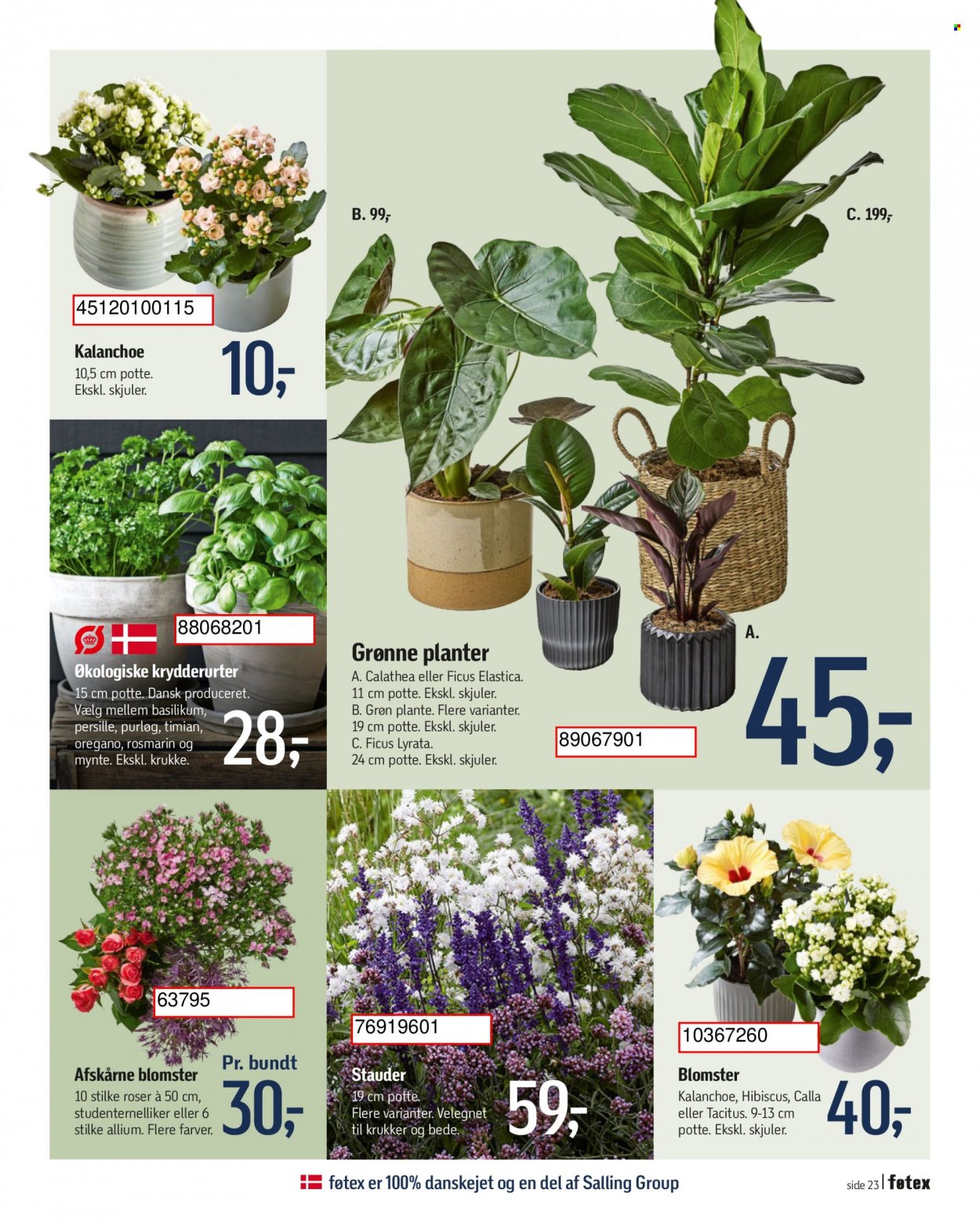 thumbnail - føtex tilbud  - 26.5.2023 - 8.6.2023 - tilbudsprodukter - persille, purløg, basilikum, mynte, oregano, timian, potte, kalanchoë, roser, grøn plante, blomst, planter. Side 27.