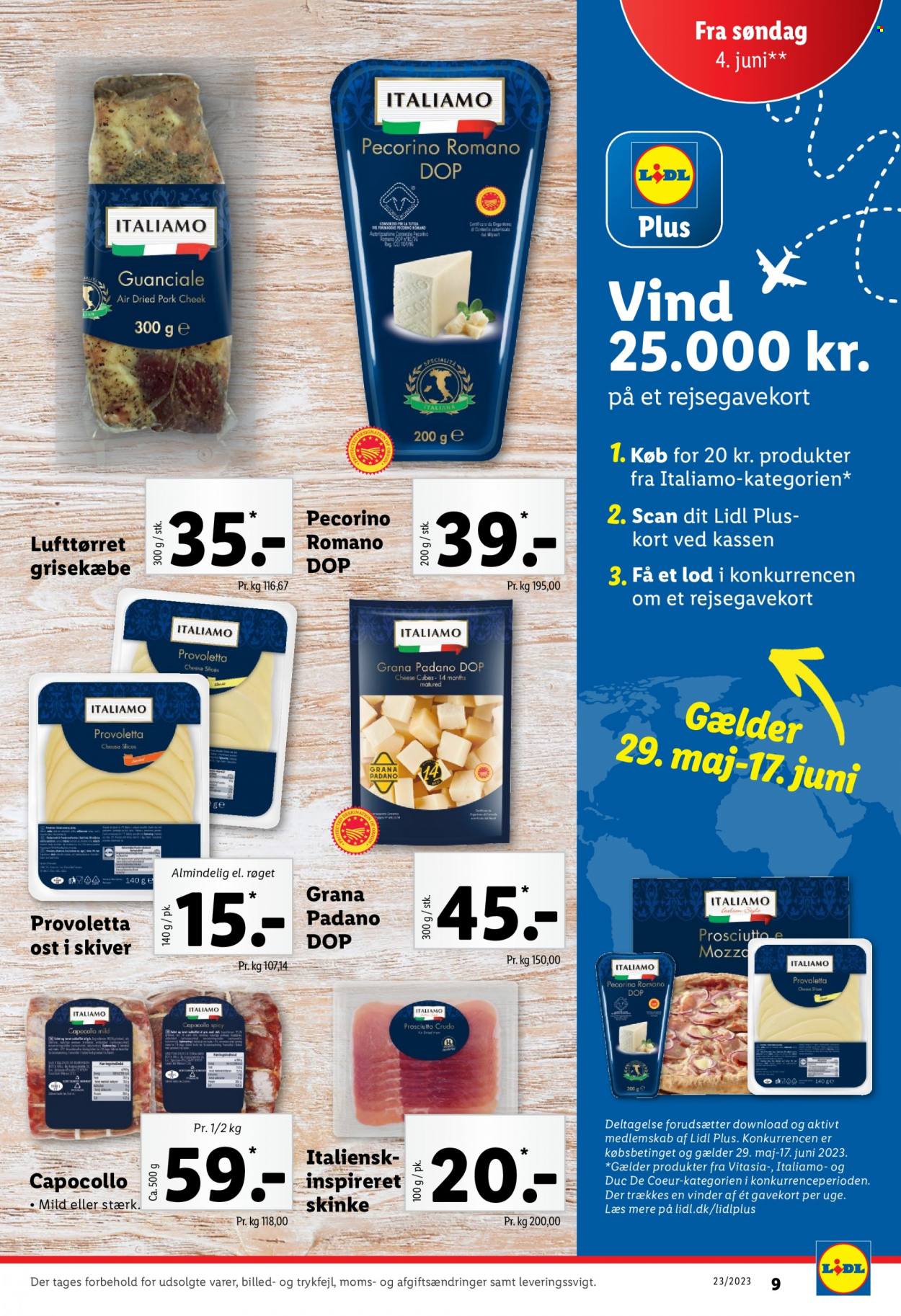 Lidl tilbud - 4.6.2023 - 10.6.2023. Side 9