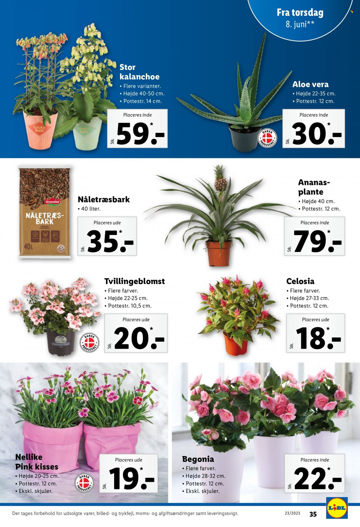 Lidl tilbud - 4.6.2023 - 10.6.2023. Side 35