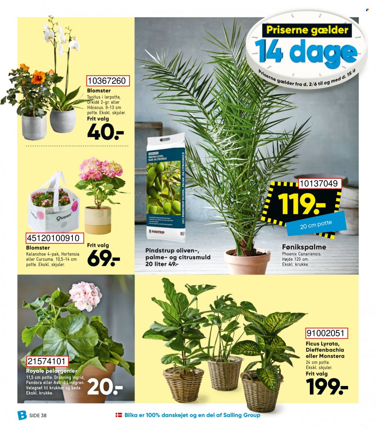 thumbnail - Bilka tilbud  - 2.6.2023 - 15.6.2023 - tilbudsprodukter - oliven, hortensia, kalanchoë, orkideer, blomst. Side 47.