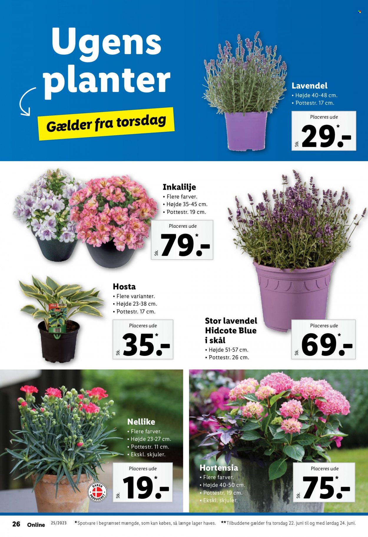 Lidl tilbud - 18.6.2023 - 24.6.2023. Side 26