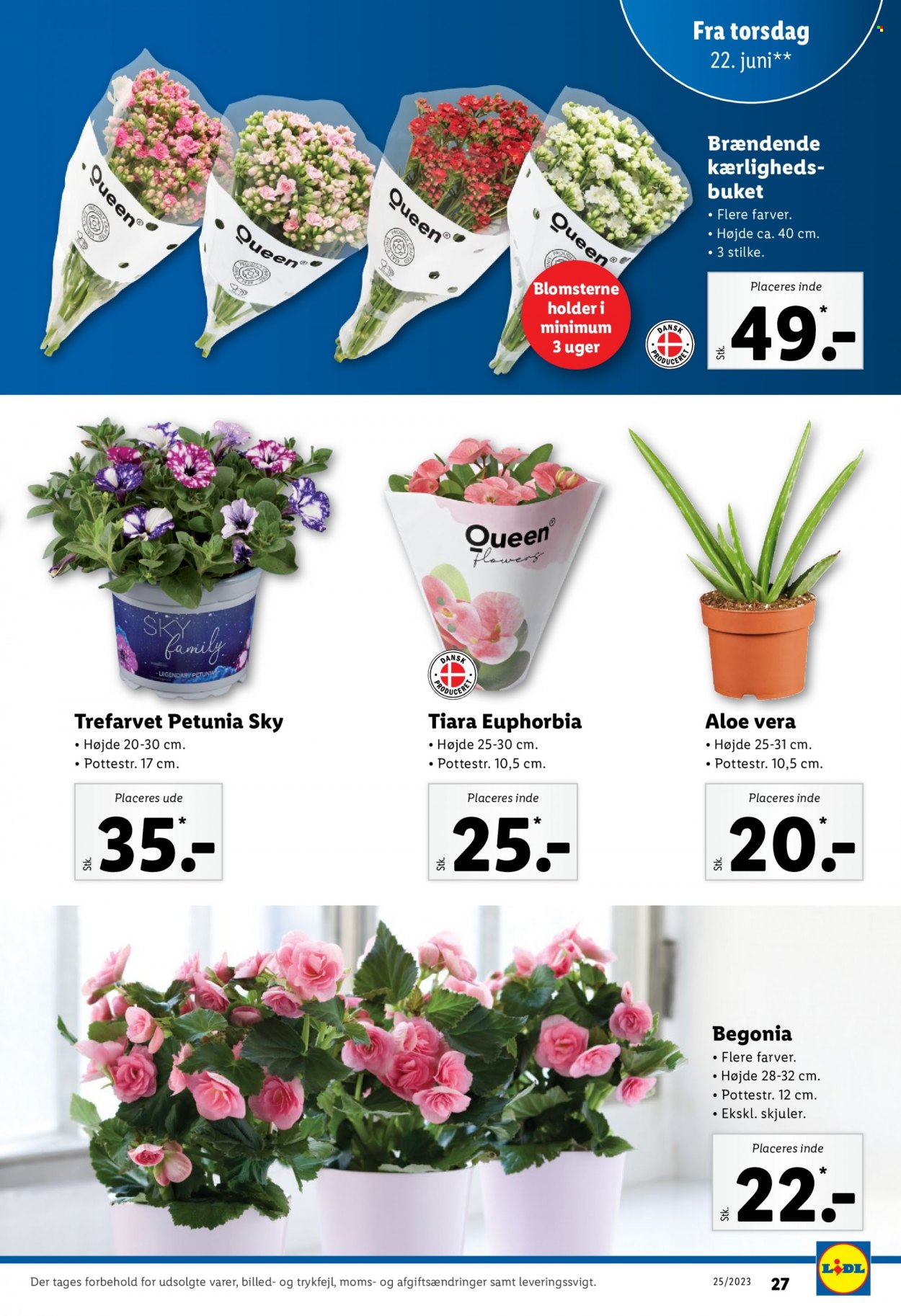 Lidl tilbud - 18.6.2023 - 24.6.2023. Side 27