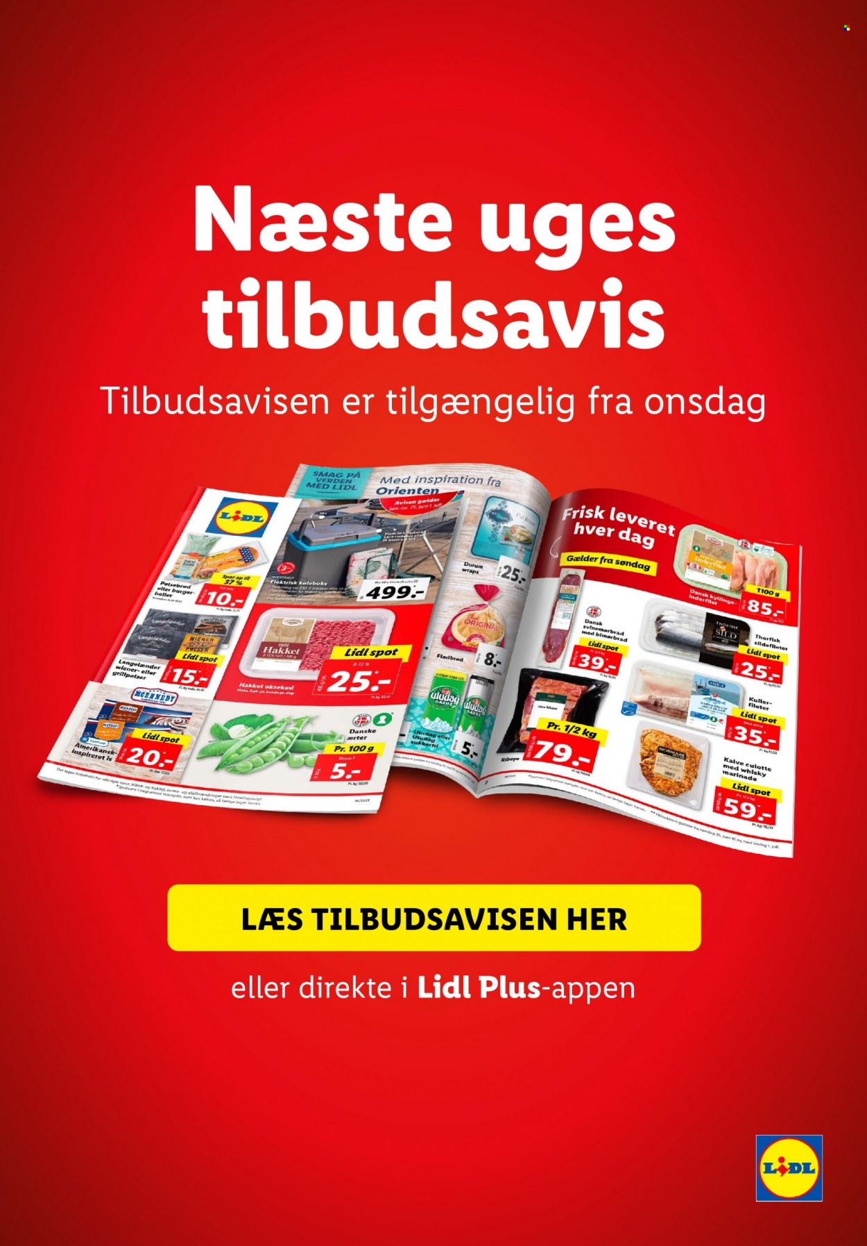 Lidl tilbud - 18.6.2023 - 24.6.2023. Side 39