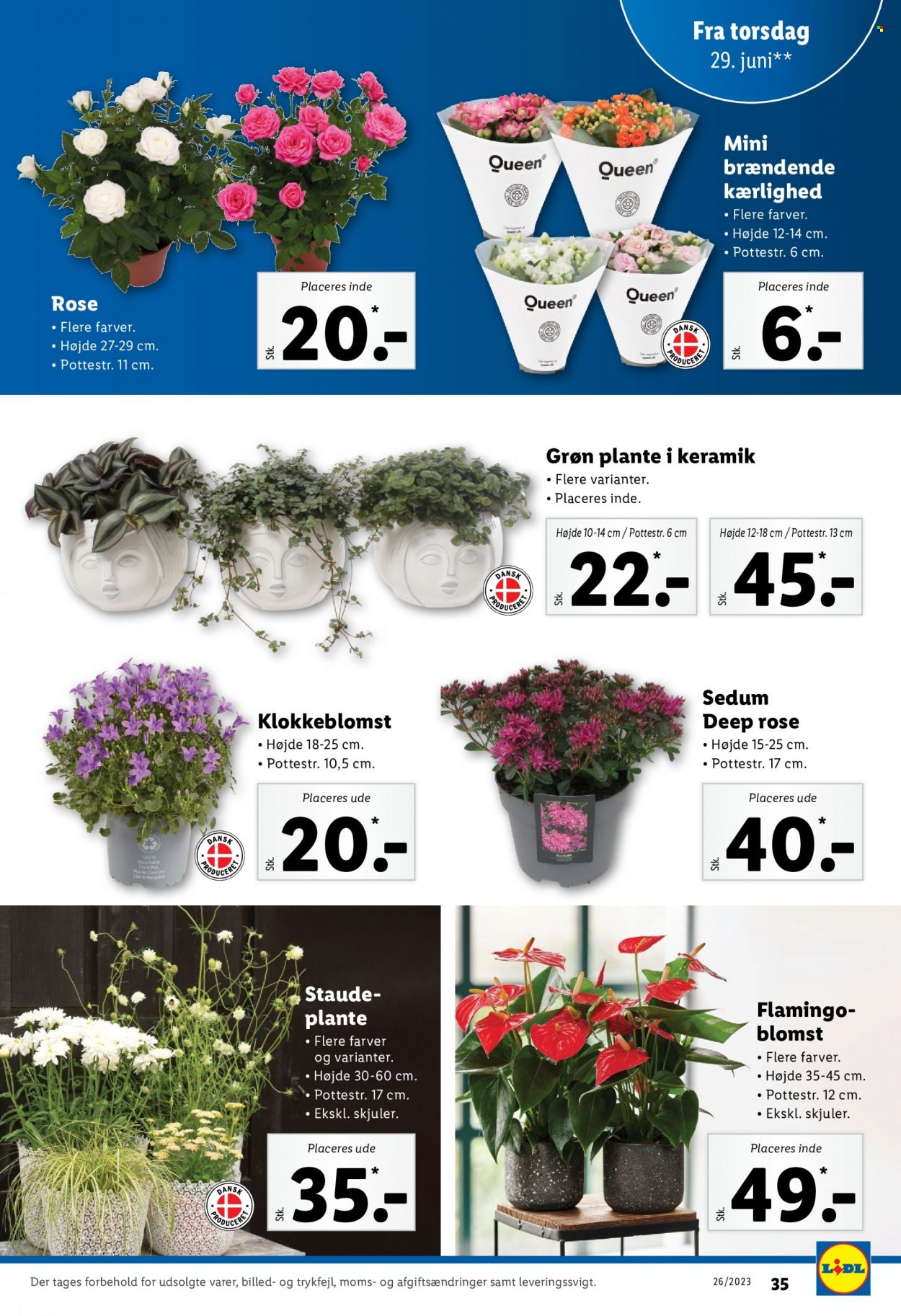 Lidl tilbud - 25.6.2023 - 1.7.2023. Side 35
