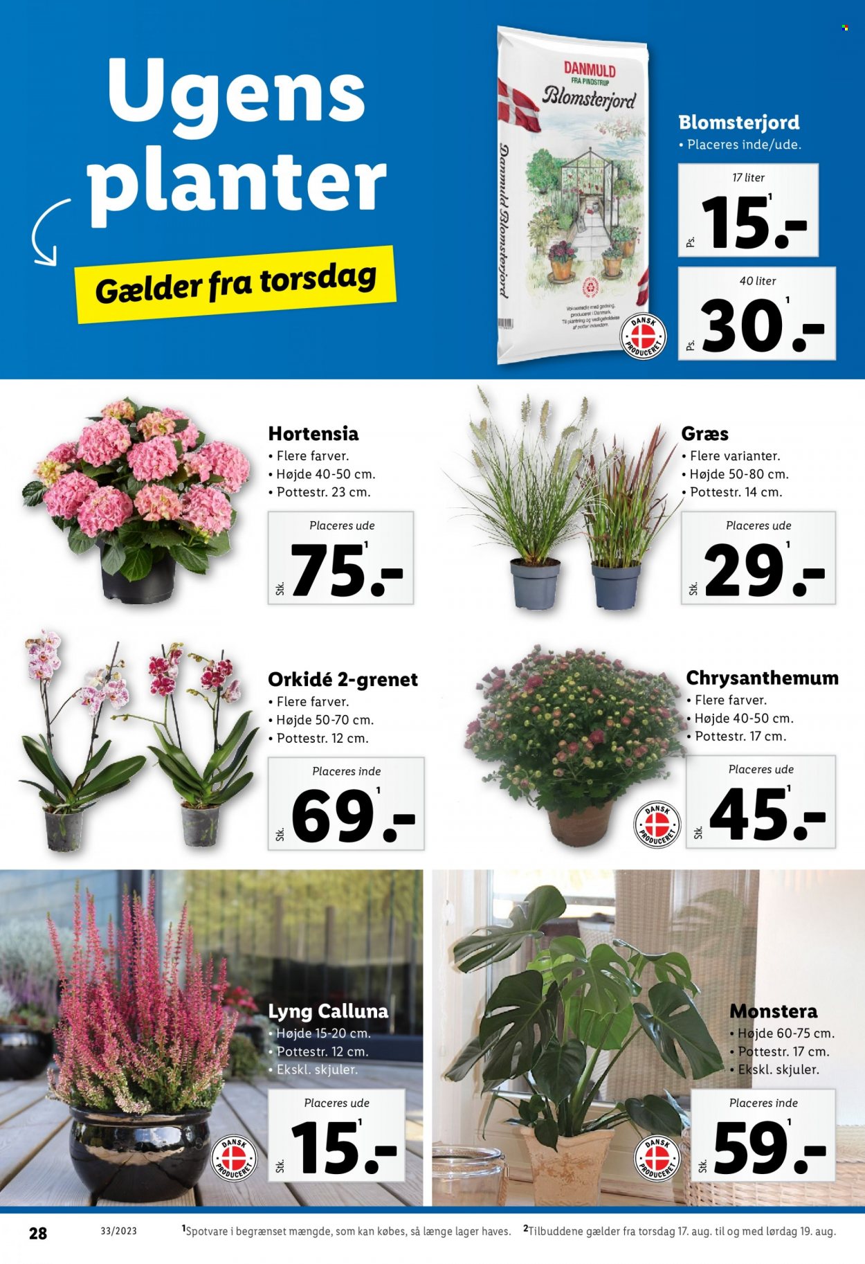 Lidl tilbud - 13.8.2023 - 19.8.2023. Side 28