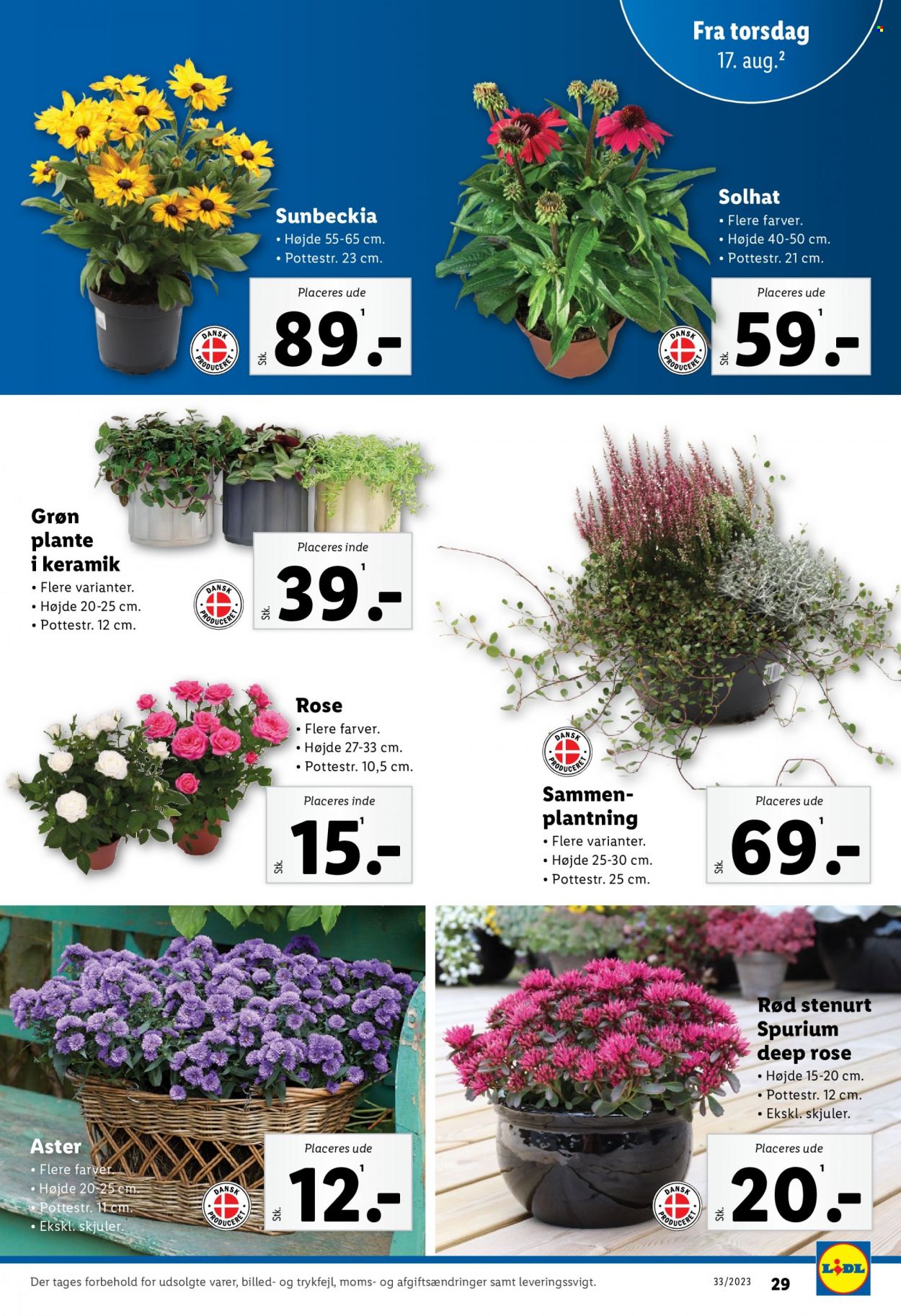 Lidl tilbud - 13.8.2023 - 19.8.2023. Side 29