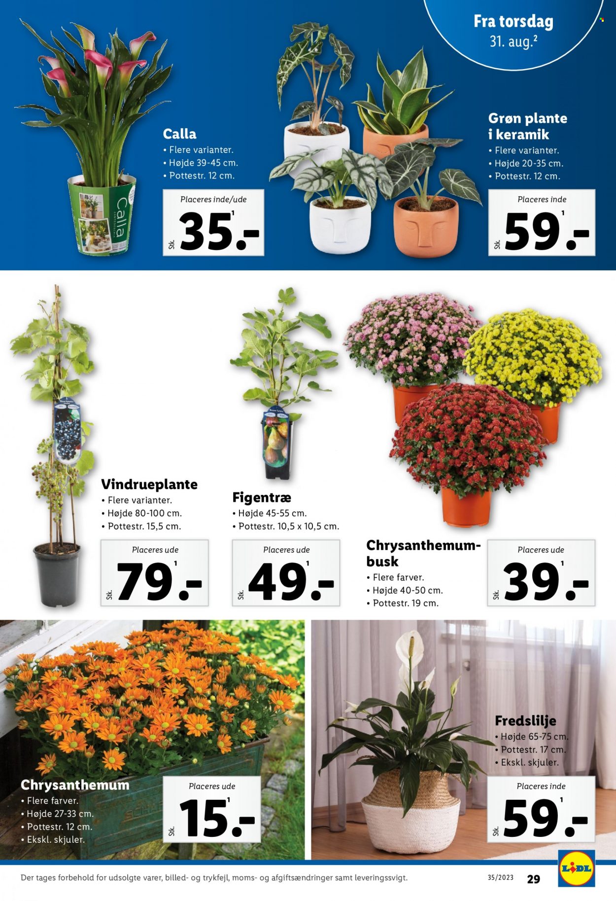 Lidl tilbud - 27.8.2023 - 2.9.2023. Side 29