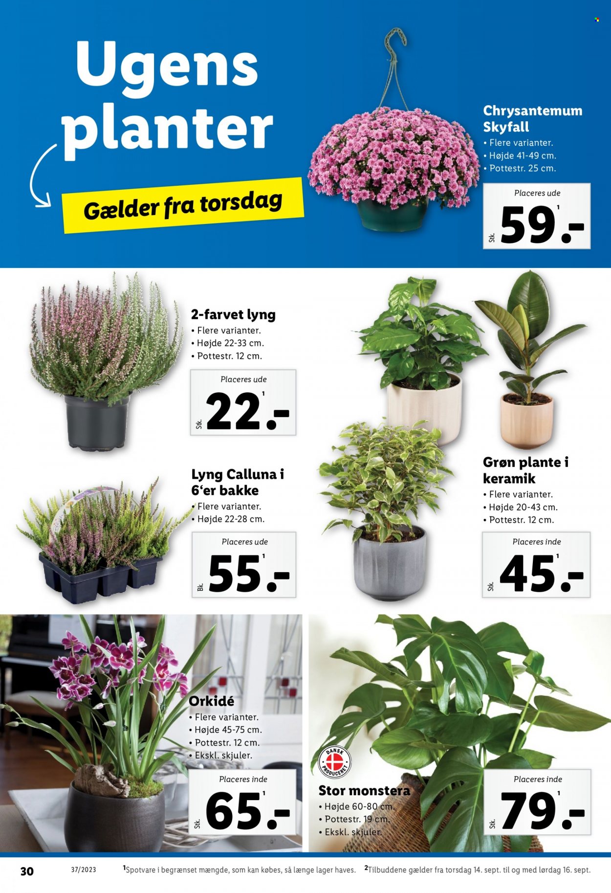 Lidl tilbud - 10.9.2023 - 16.9.2023. Side 30