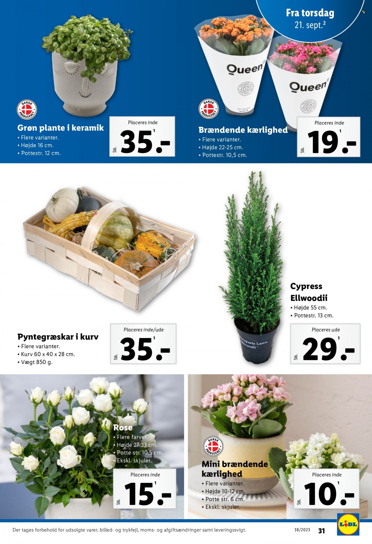 Lidl tilbud - 17.9.2023 - 23.9.2023. Side 31