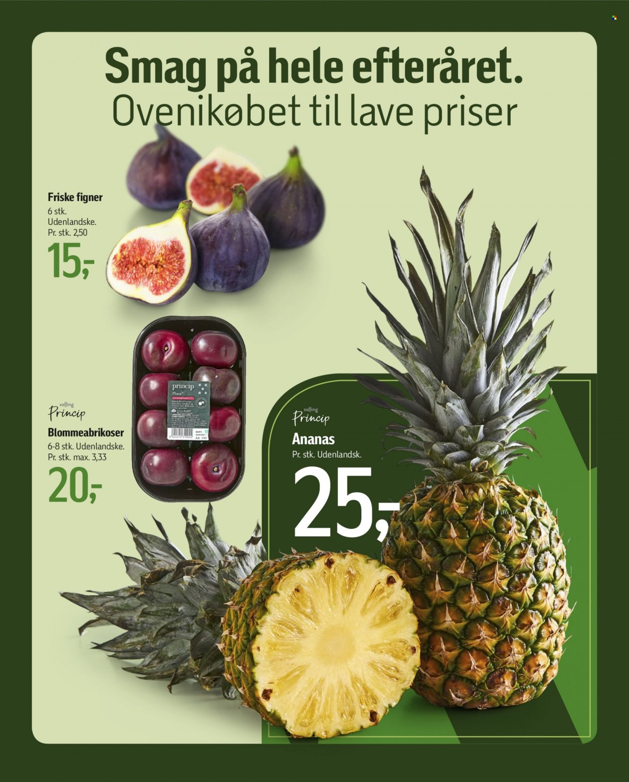 føtex tilbud - 15.9.2023 - 21.9.2023. Side 13