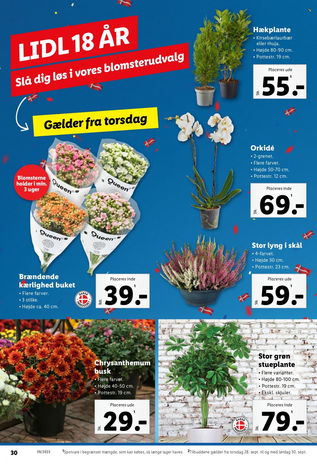 Lidl tilbud - 24.9.2023 - 30.9.2023. Side 30
