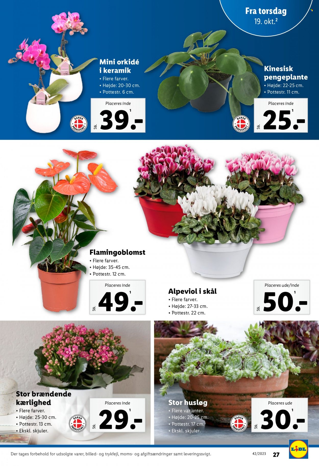 Lidl tilbud - 15.10.2023 - 21.10.2023. Side 27