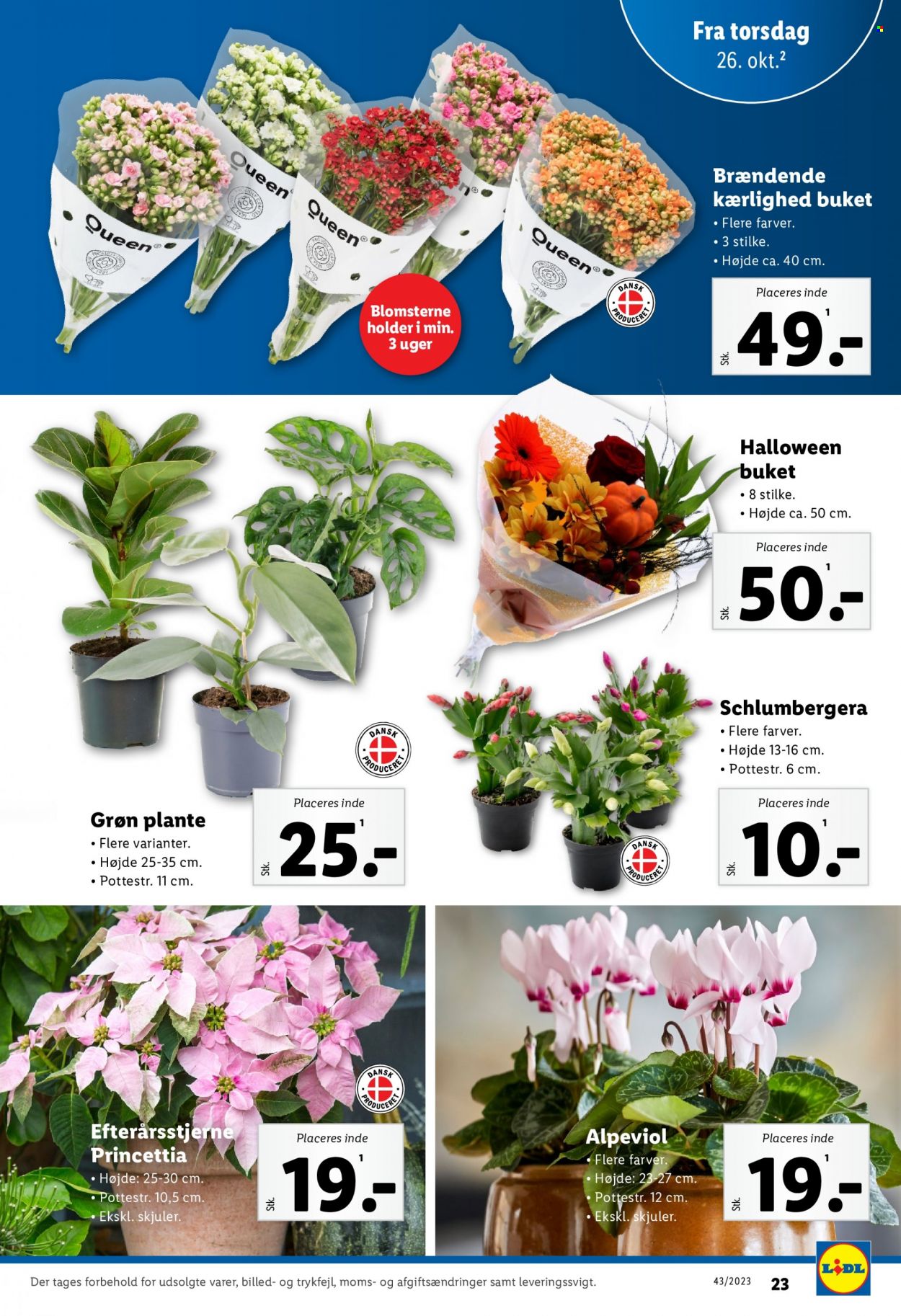Lidl tilbud - 22.10.2023 - 28.10.2023. Side 23