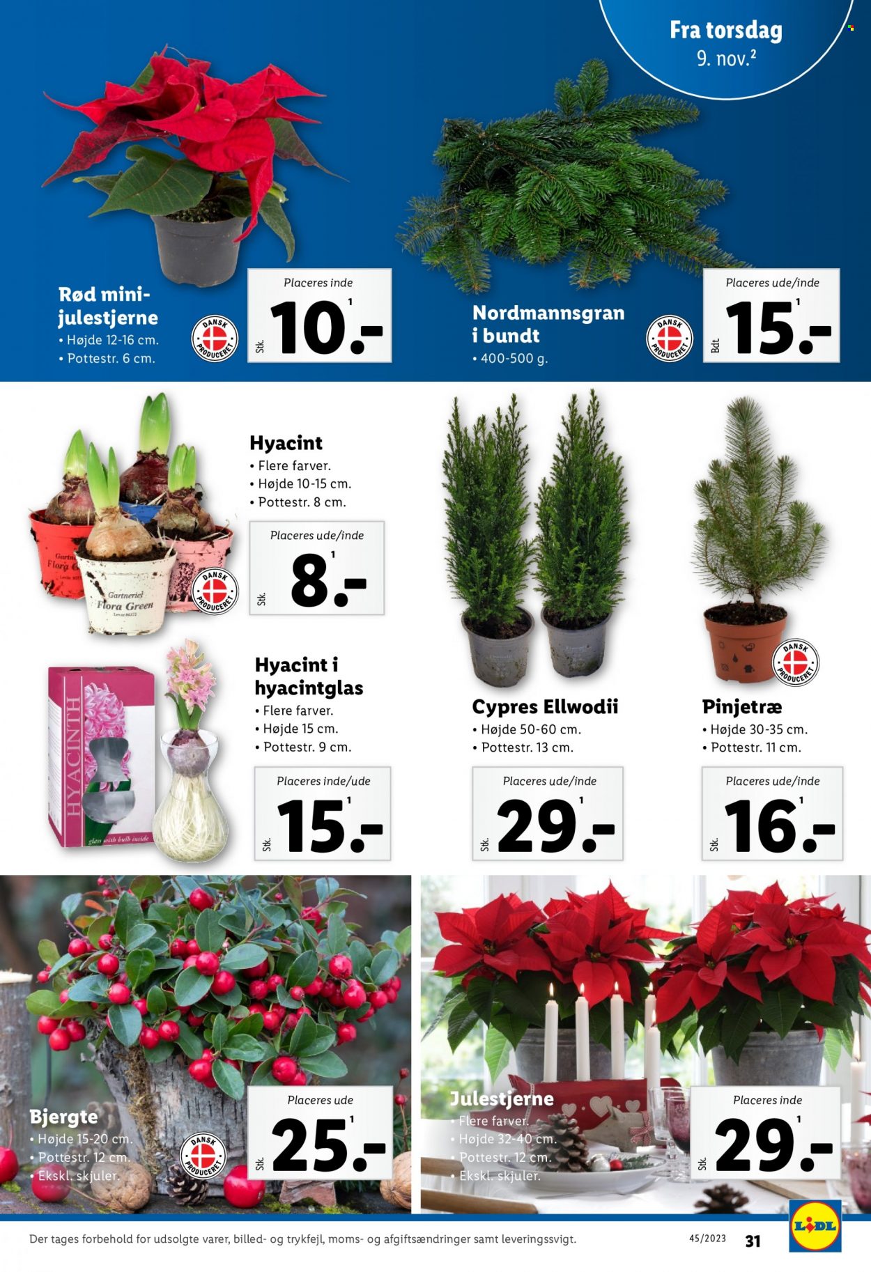 Lidl tilbud - 5.11.2023 - 11.11.2023. Side 31