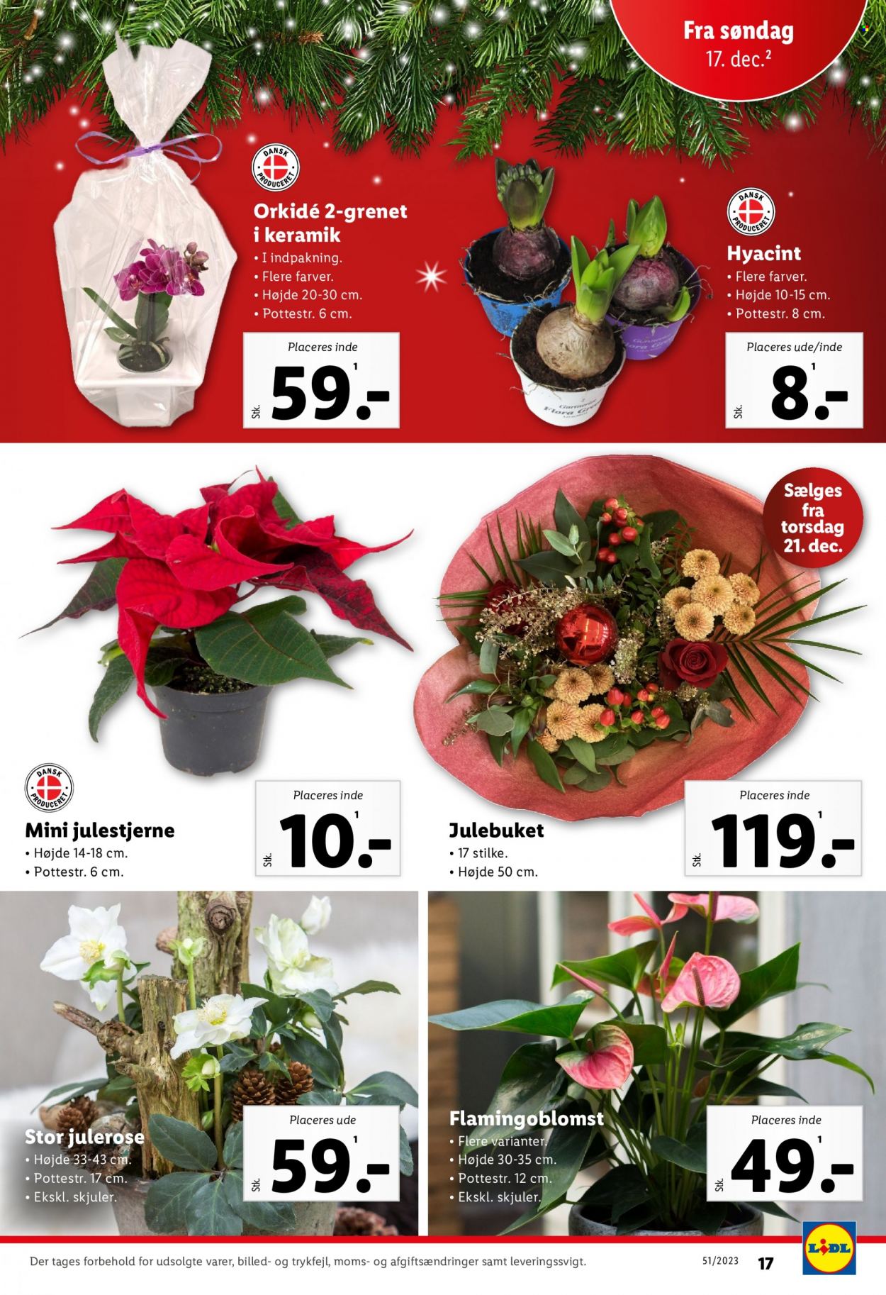 Lidl tilbud - 17.12.2023 - 26.12.2023. Side 17