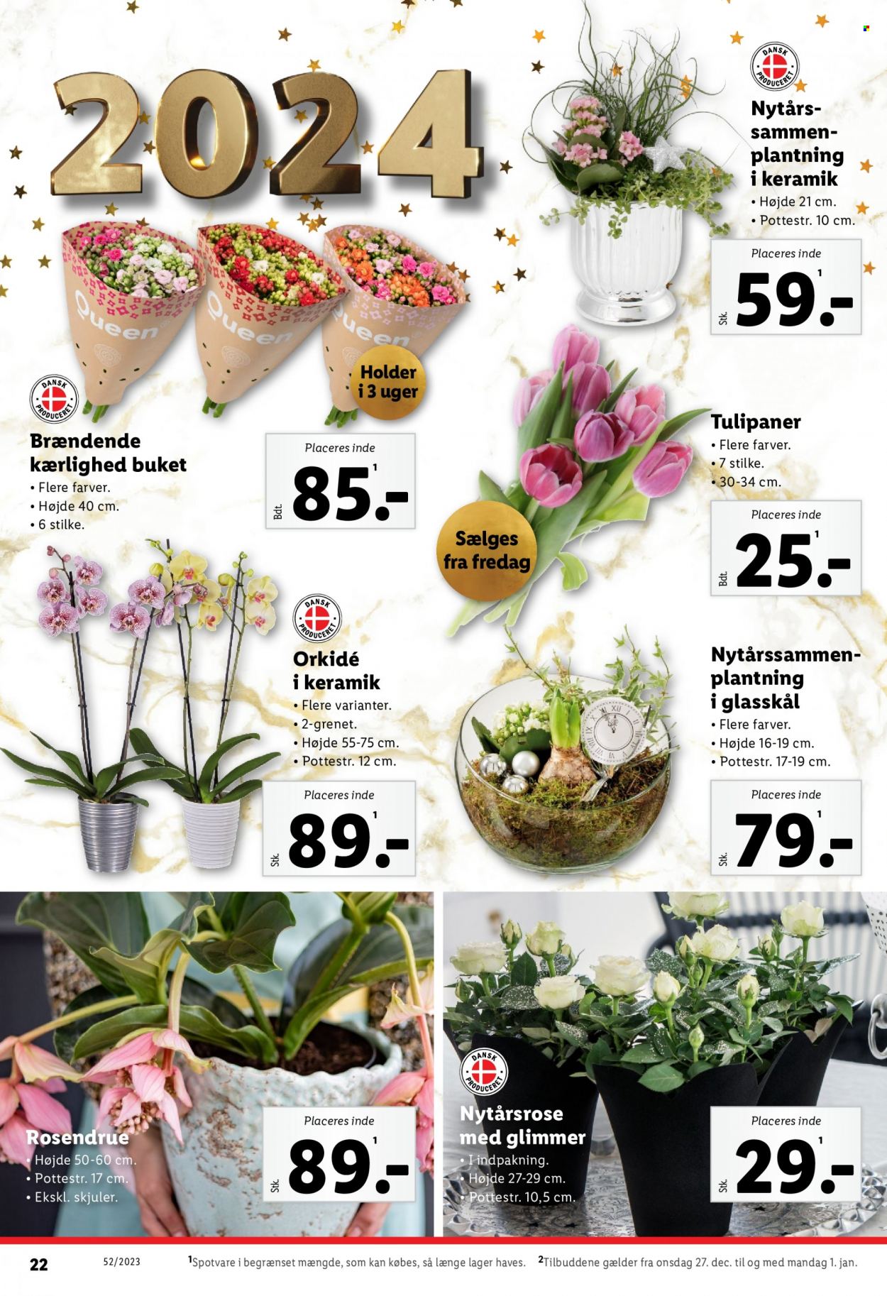 Lidl tilbud - 27.12.2023 - 1.1.2024. Side 22