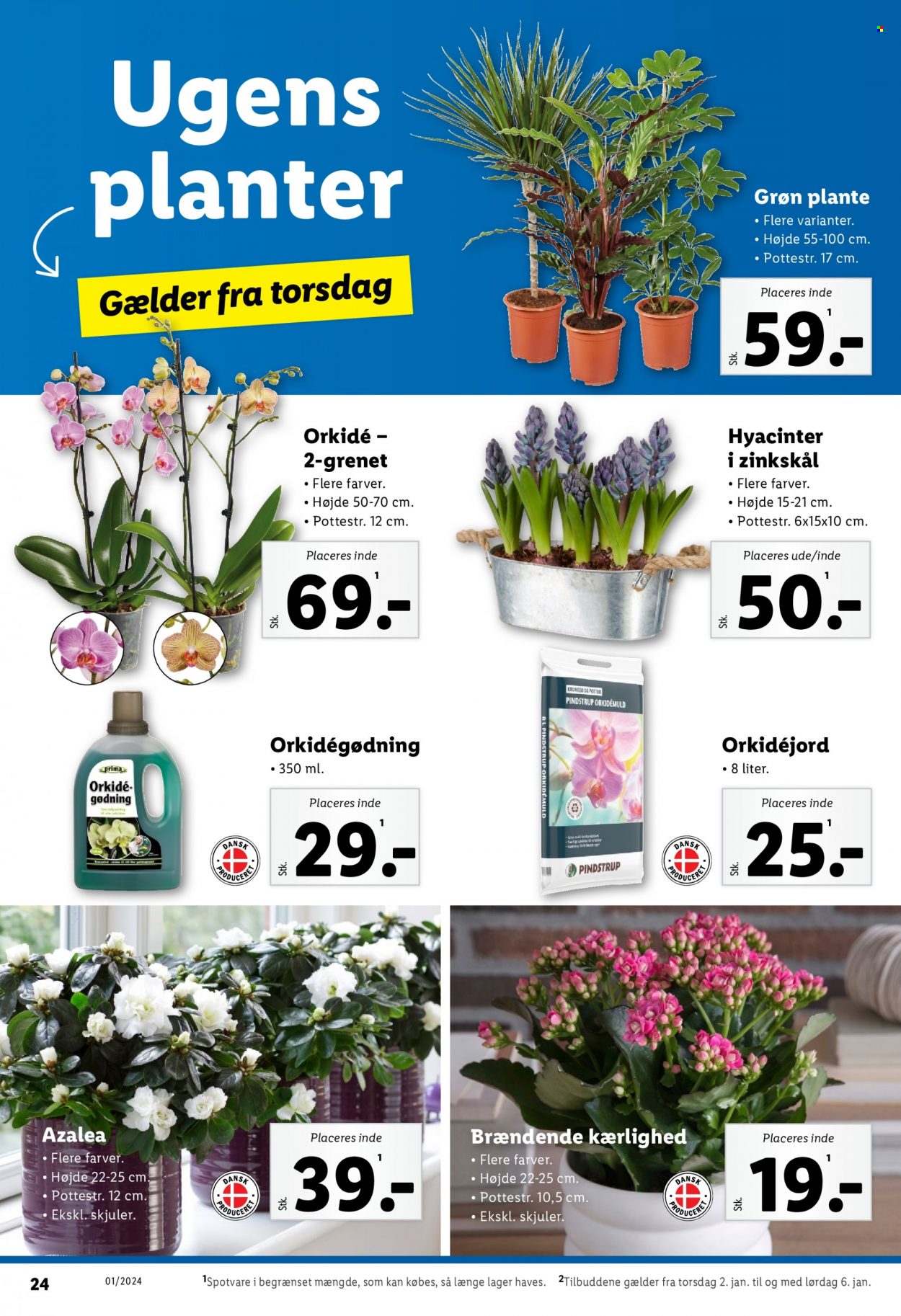 Lidl tilbud - 2.1.2024 - 6.1.2024. Side 24