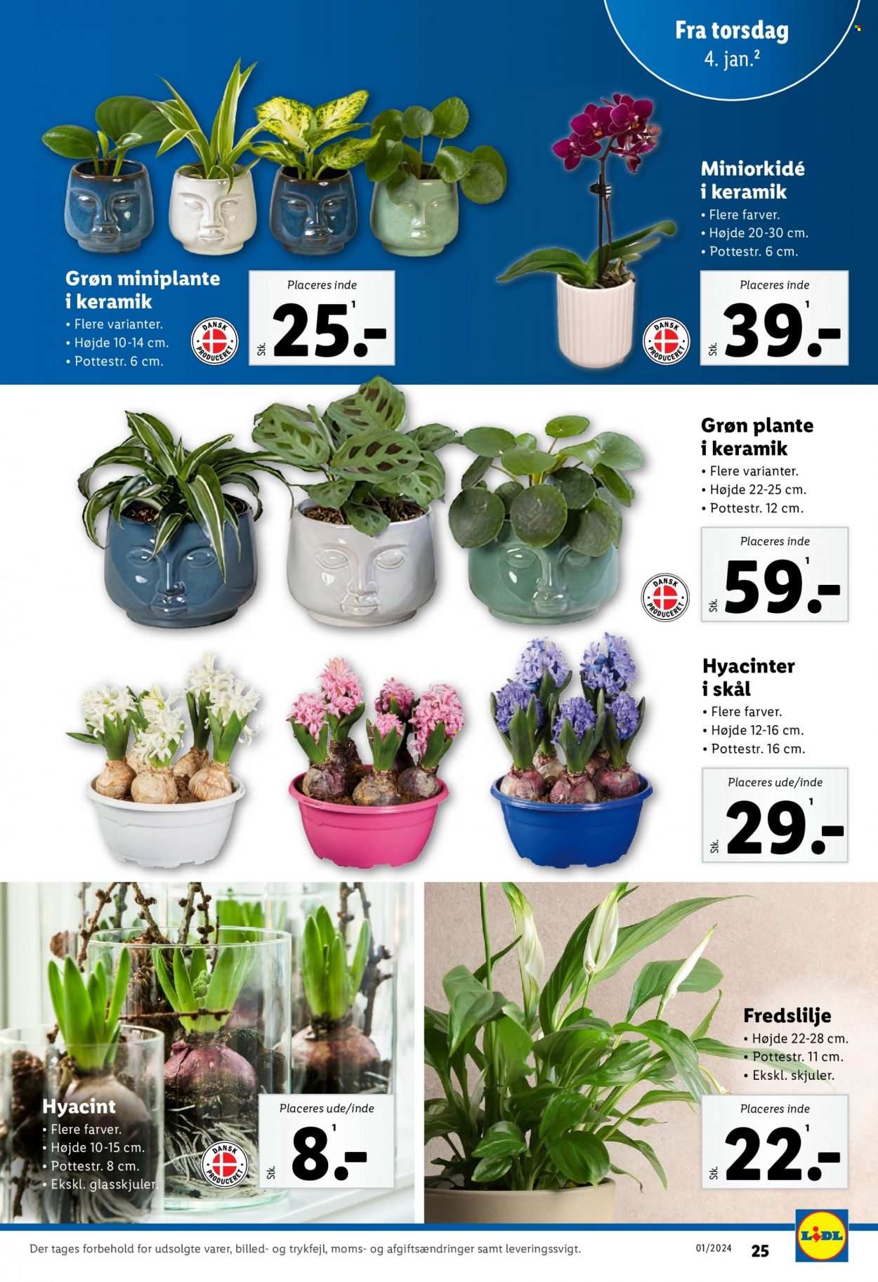 Lidl tilbud - 2.1.2024 - 6.1.2024. Side 25