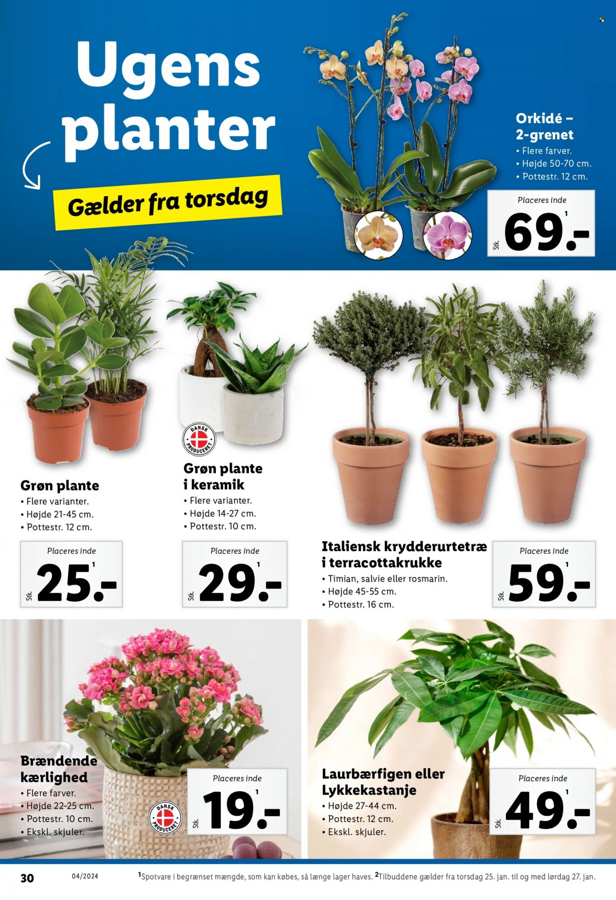 Lidl tilbud - 21.1.2024 - 27.1.2024. Side 30