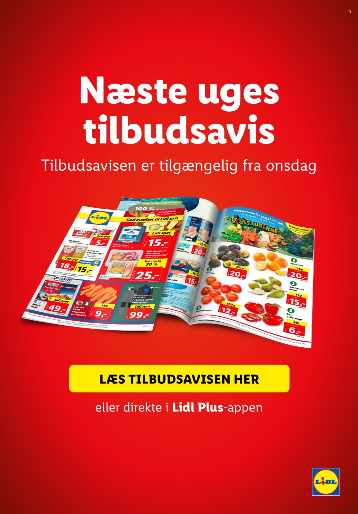 Lidl tilbud - 28.1.2024 - 3.2.2024. Side 41
