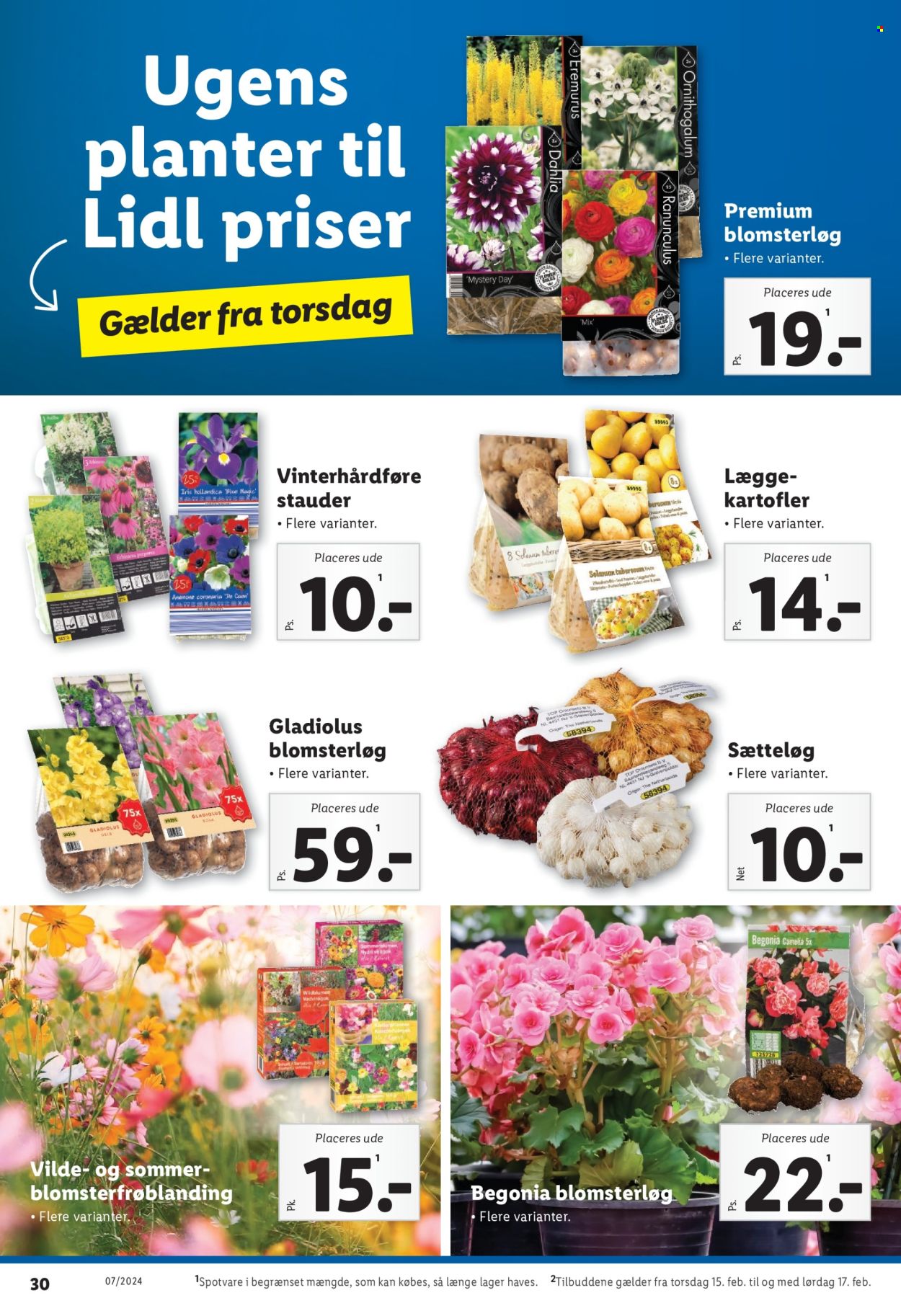 Lidl tilbud - 11.2.2024 - 17.2.2024. Side 30