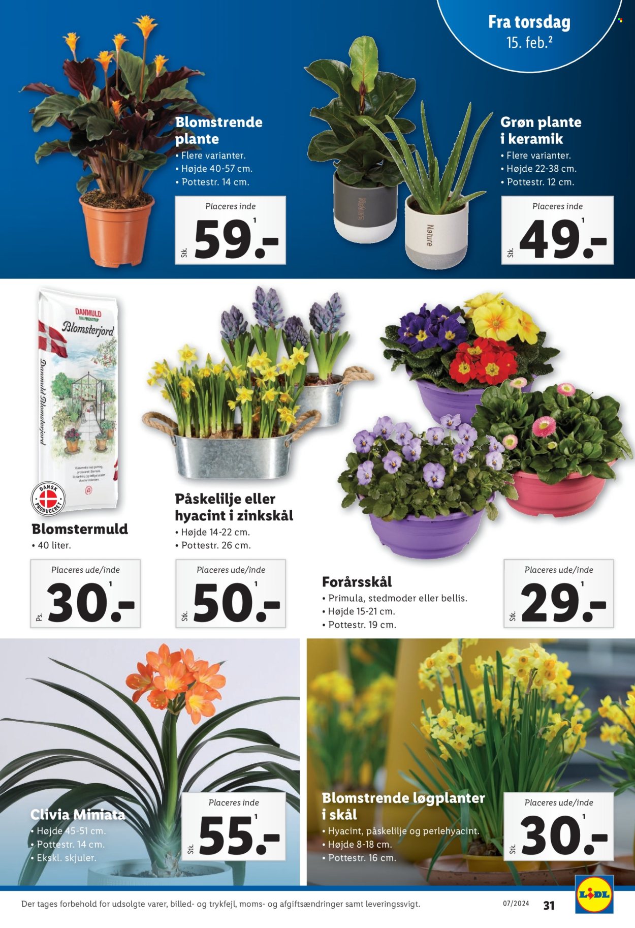 Lidl tilbud - 11.2.2024 - 17.2.2024. Side 31