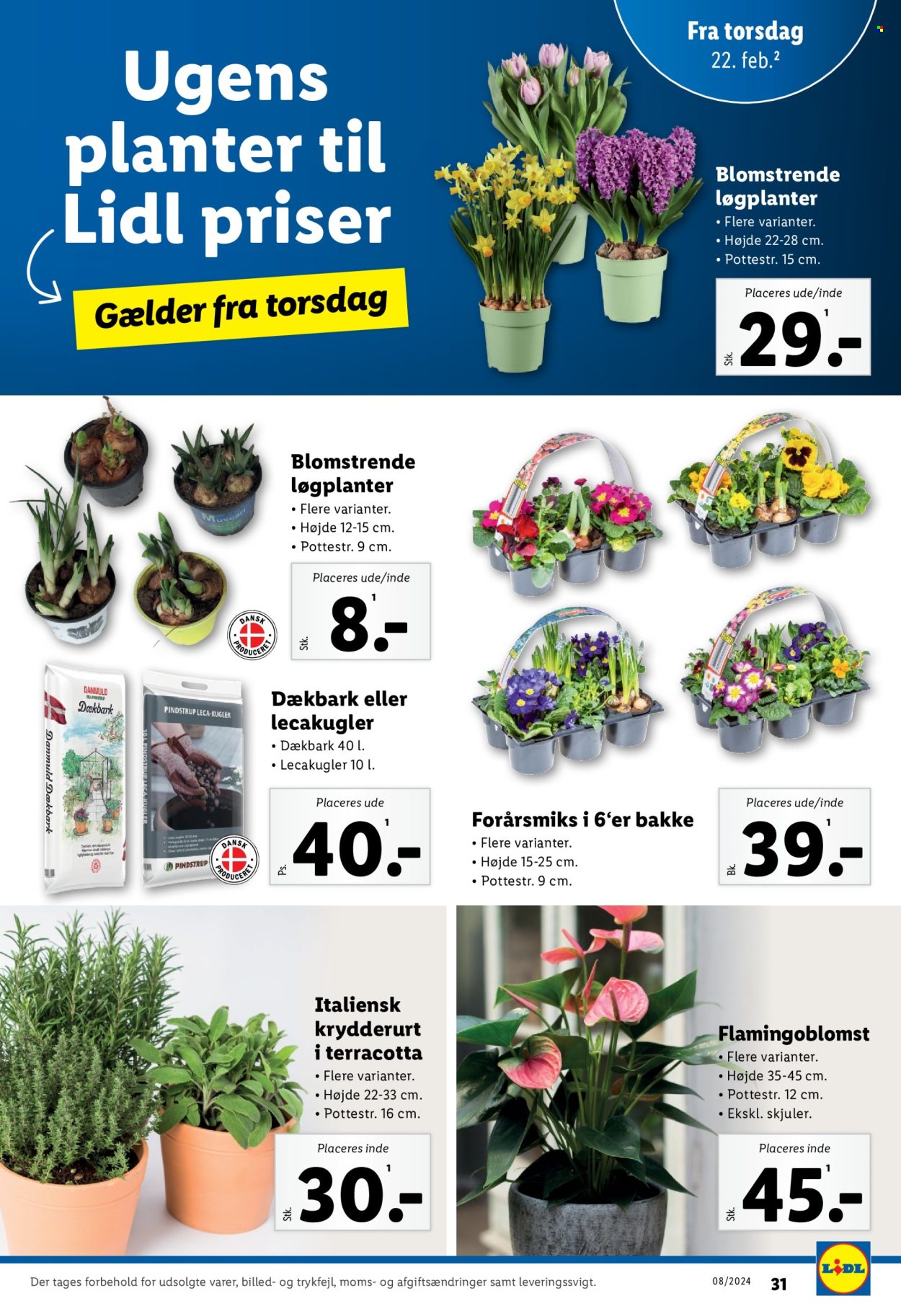 Lidl tilbud - 18.2.2024 - 24.2.2024. Side 31