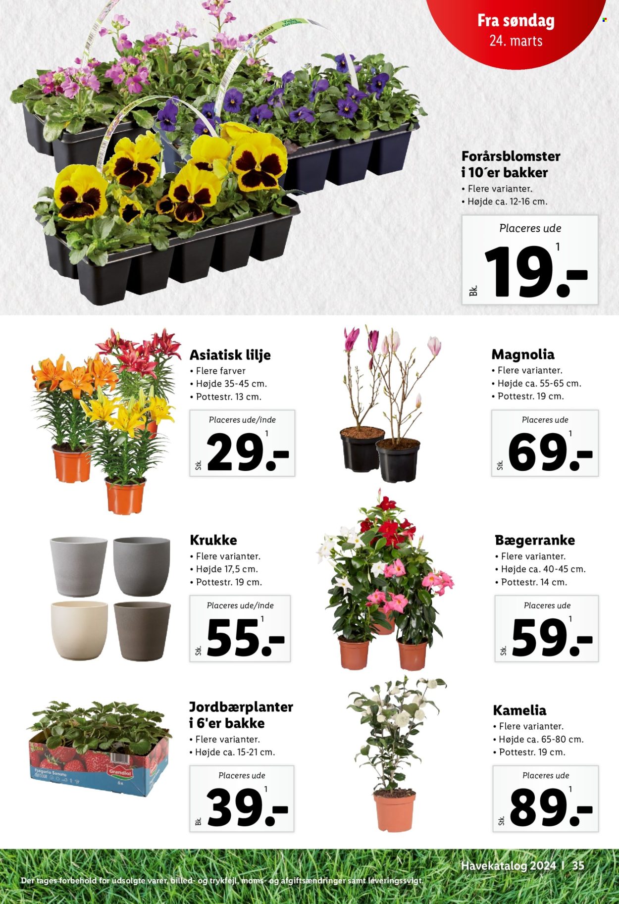 Lidl tilbud. Side 35