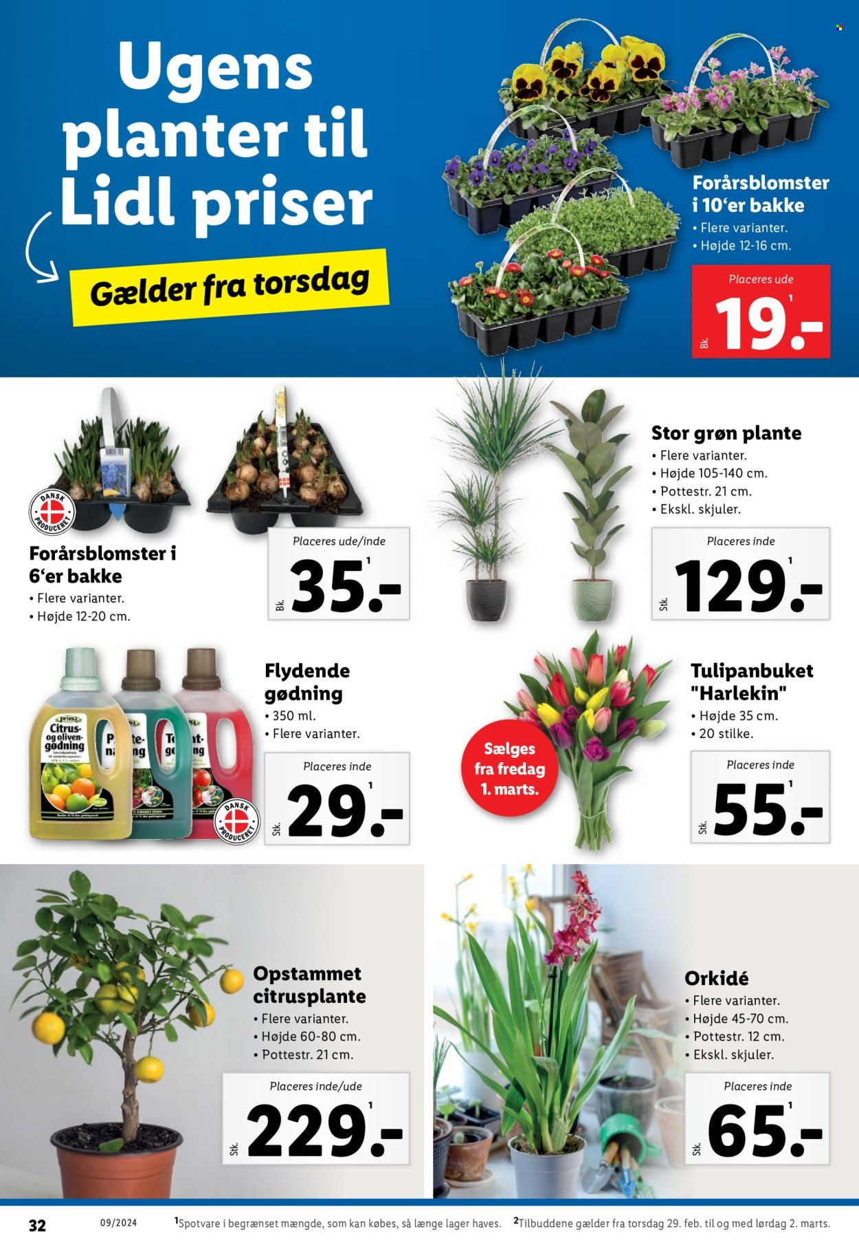 Lidl tilbud - 25.2.2024 - 2.3.2024. Side 32